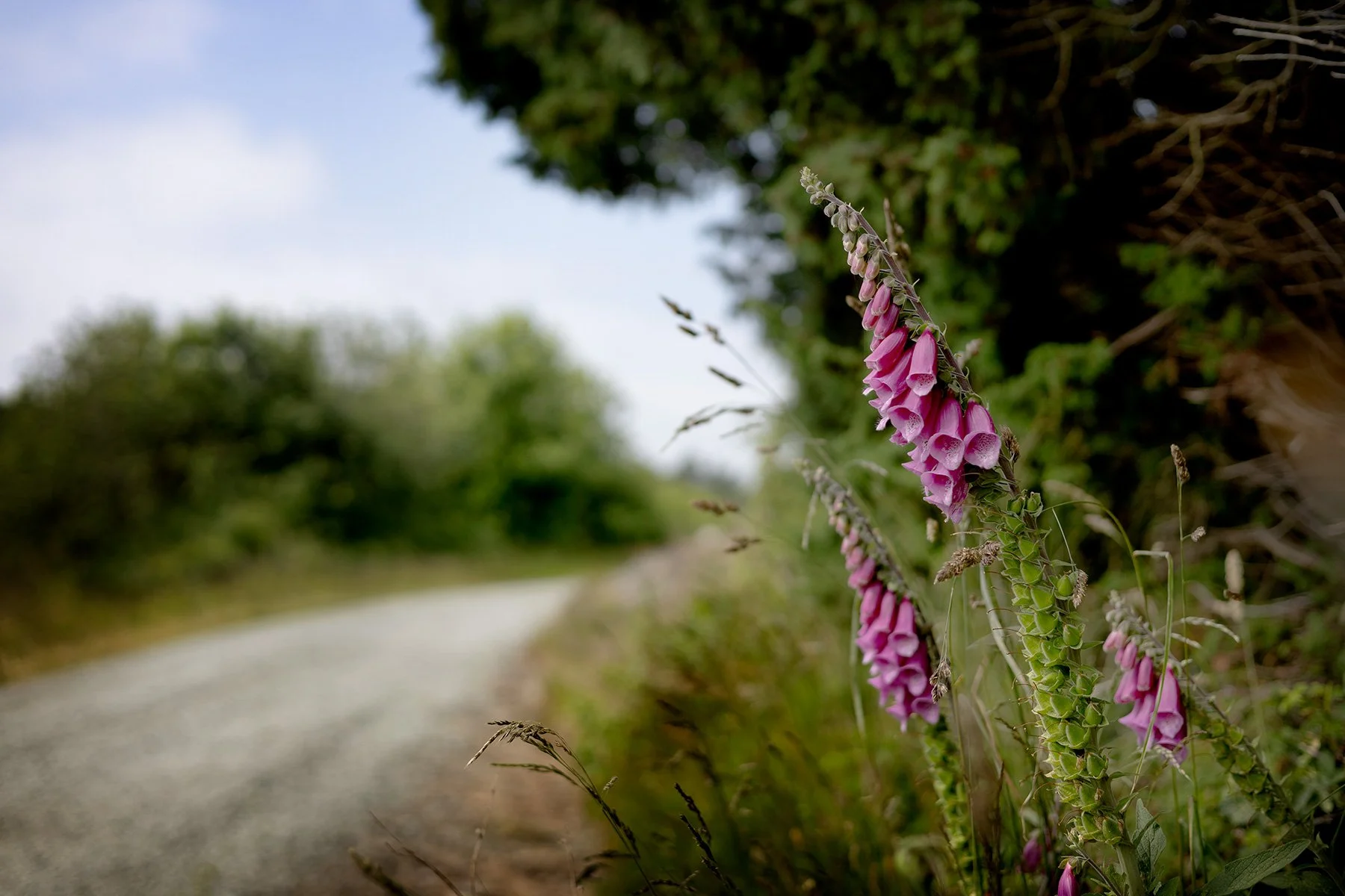 blogg-250621sanddamm3.jpg