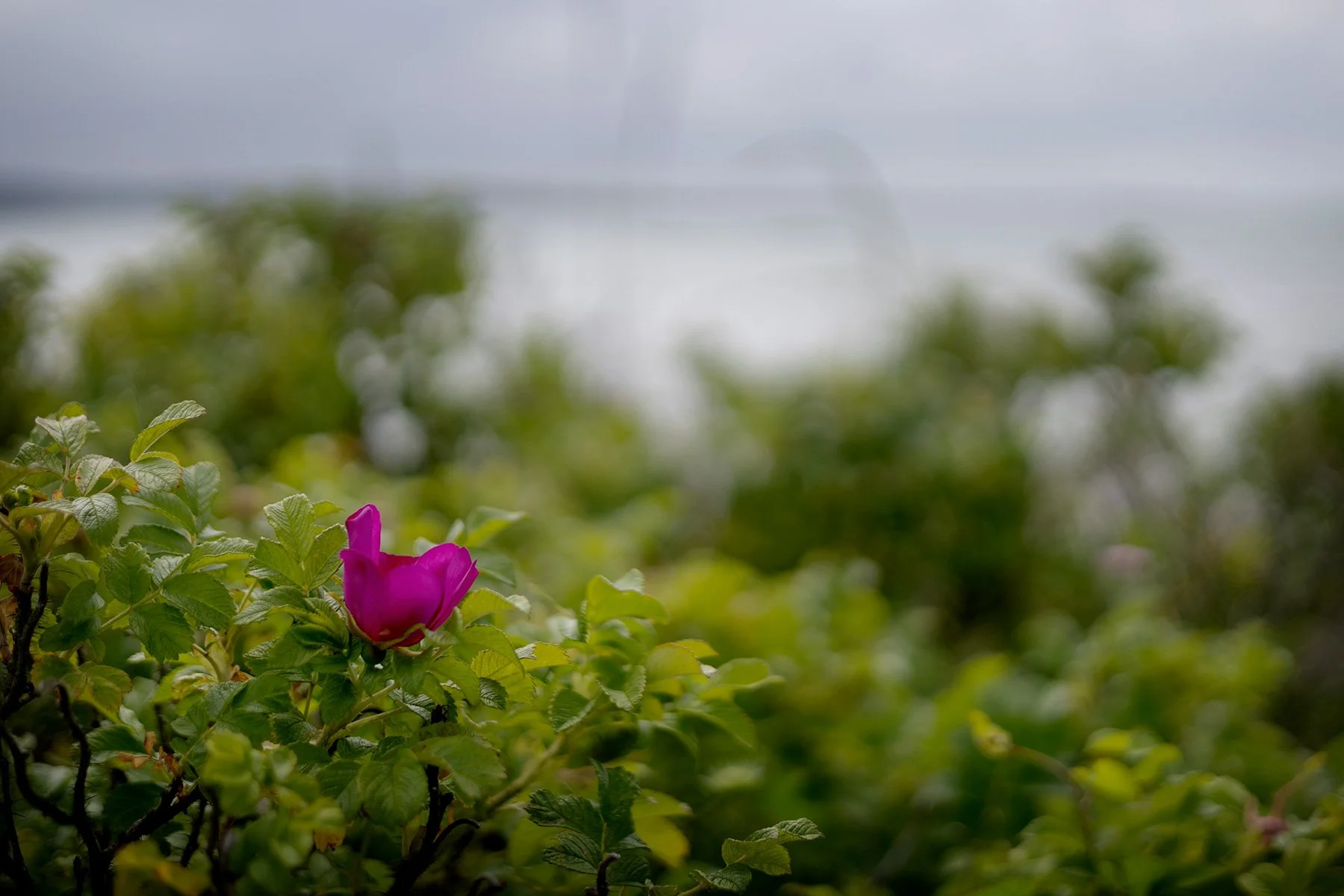 blogg-250621sanddamm5.jpg