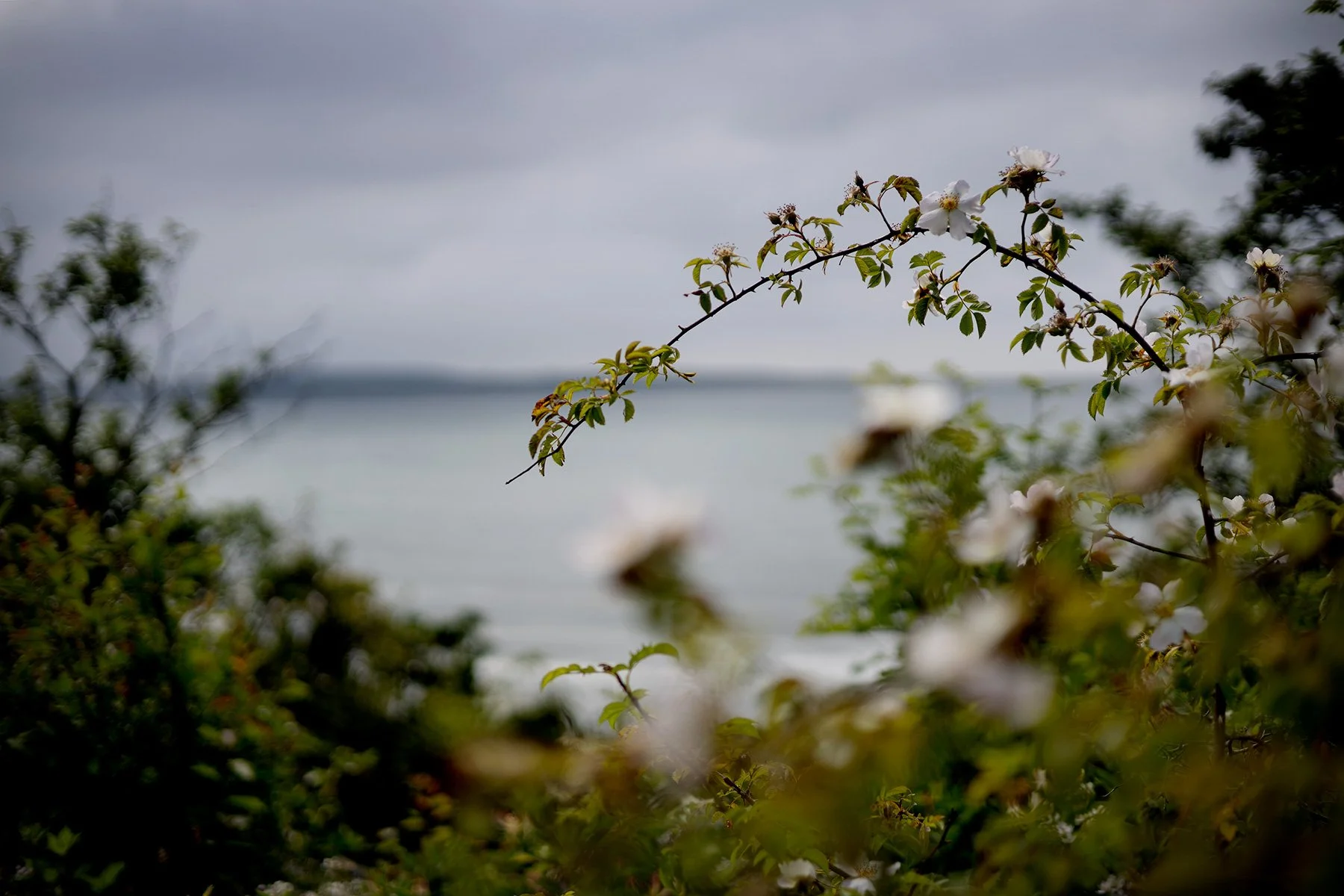 blogg-250621sanddamm14.jpg