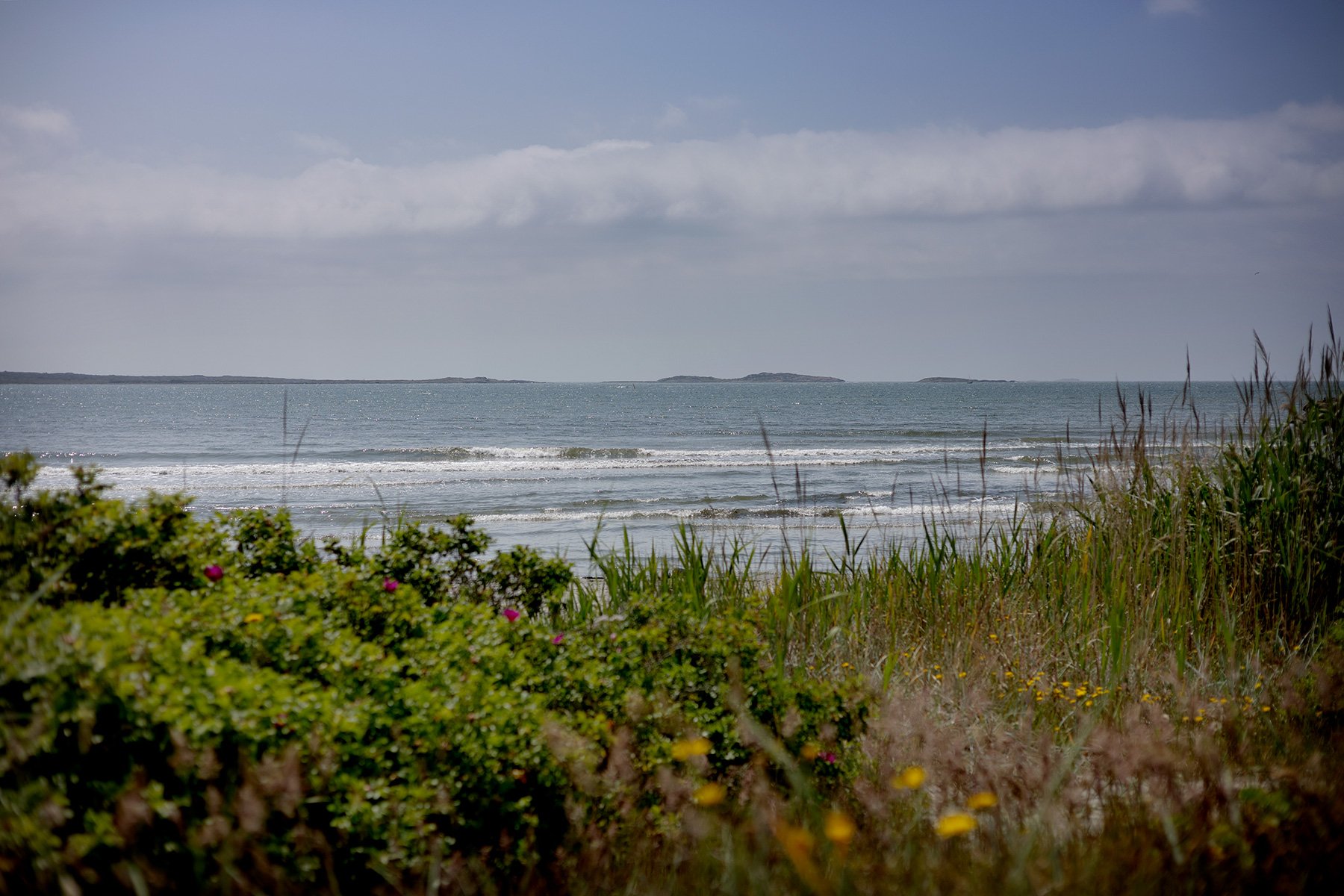 blogg-250621sanddamm27.jpg