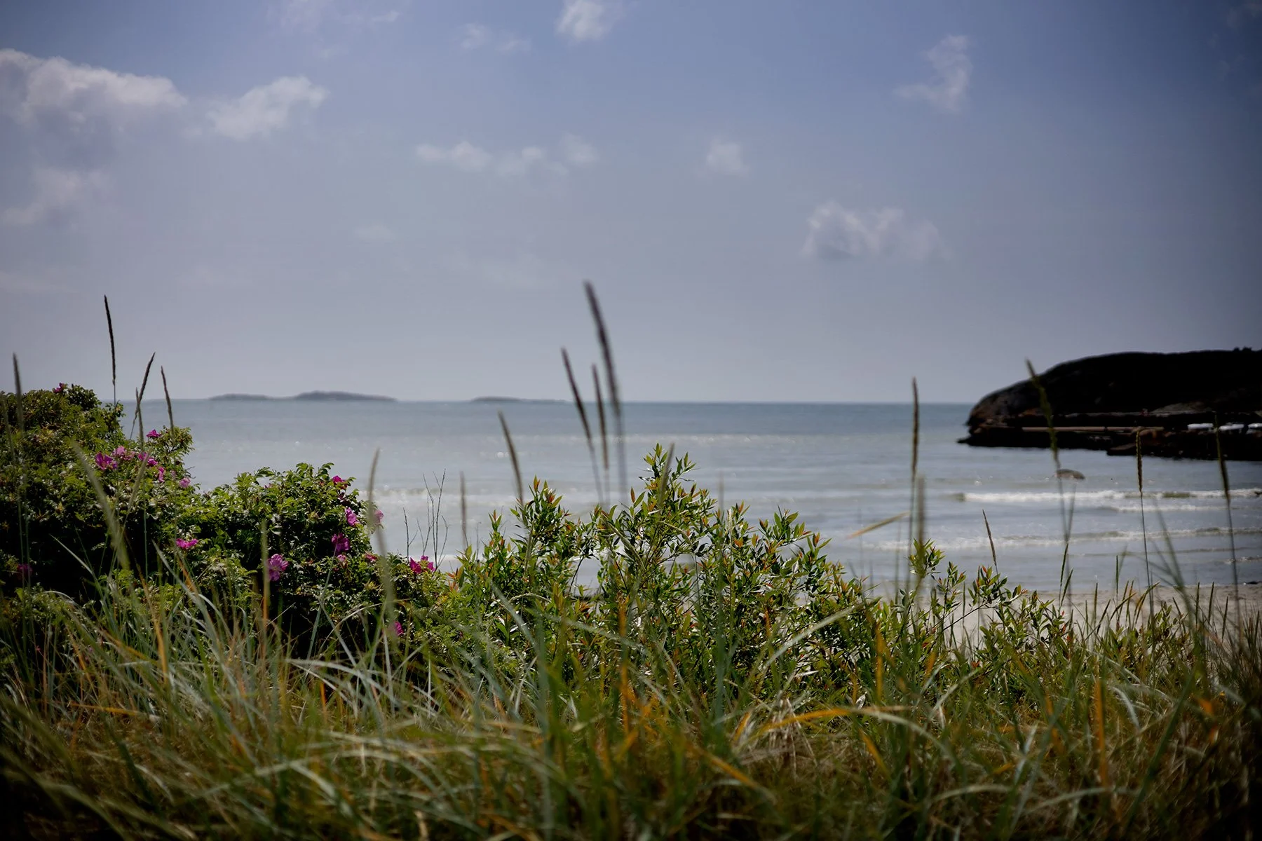 blogg-250621sanddamm29.jpg