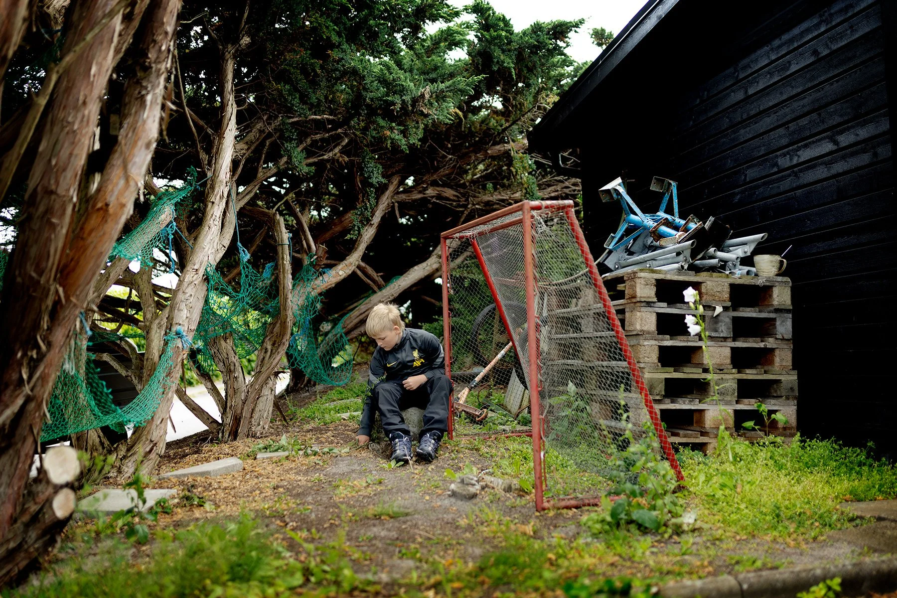 blogg-250625rensaograsmedbertil2.jpg