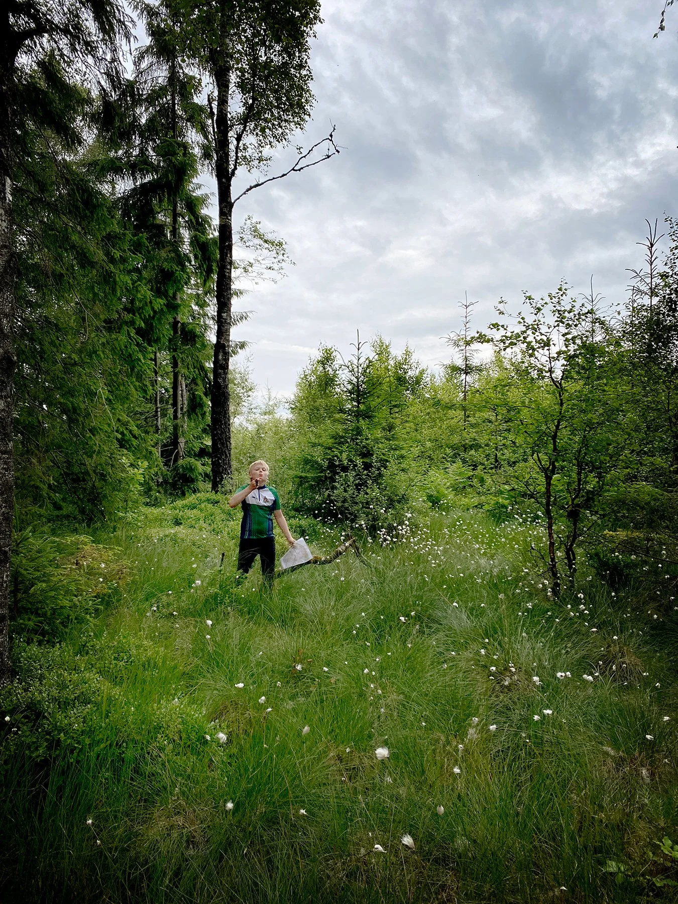 blogg-250626orienteringbrannhult8.jpg
