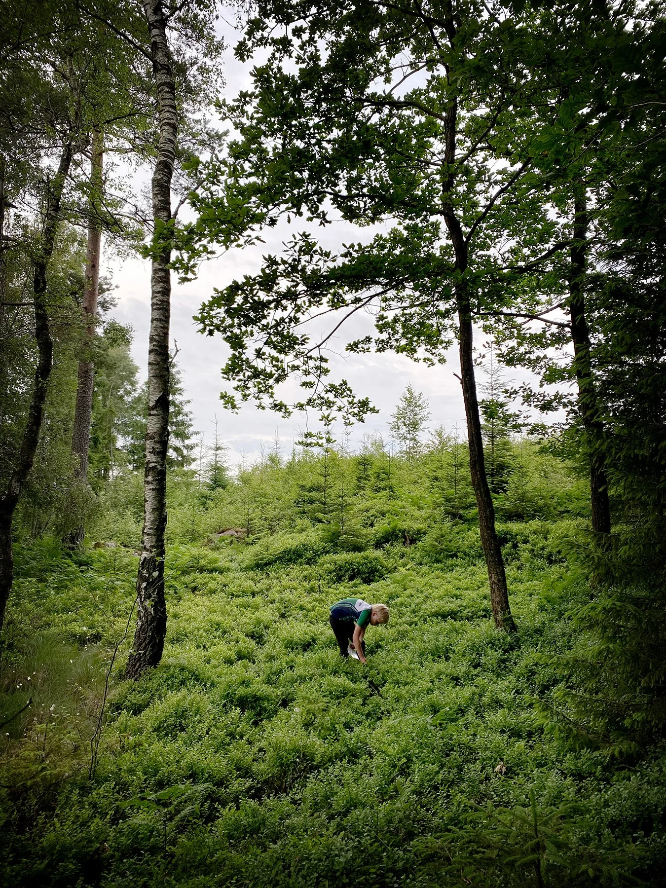 Varbergsmästerskapen i orientering
