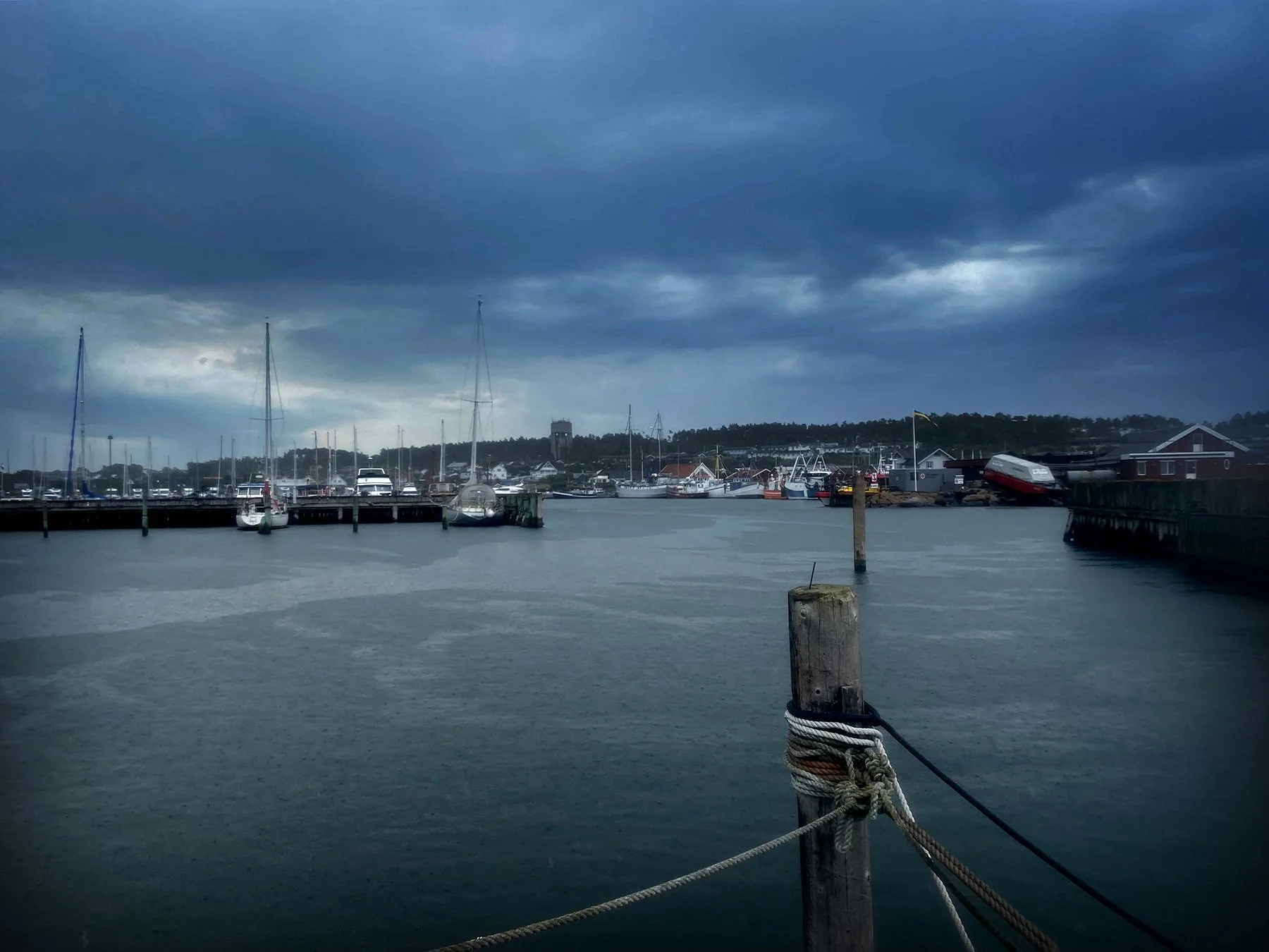 blogg-250702askdagihamnen7.jpg