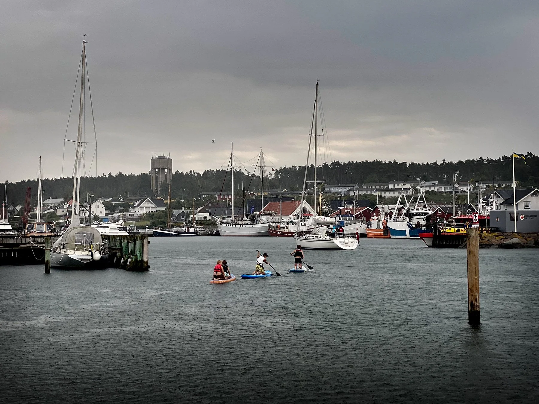 blogg-250702askdagihamnen10.jpg