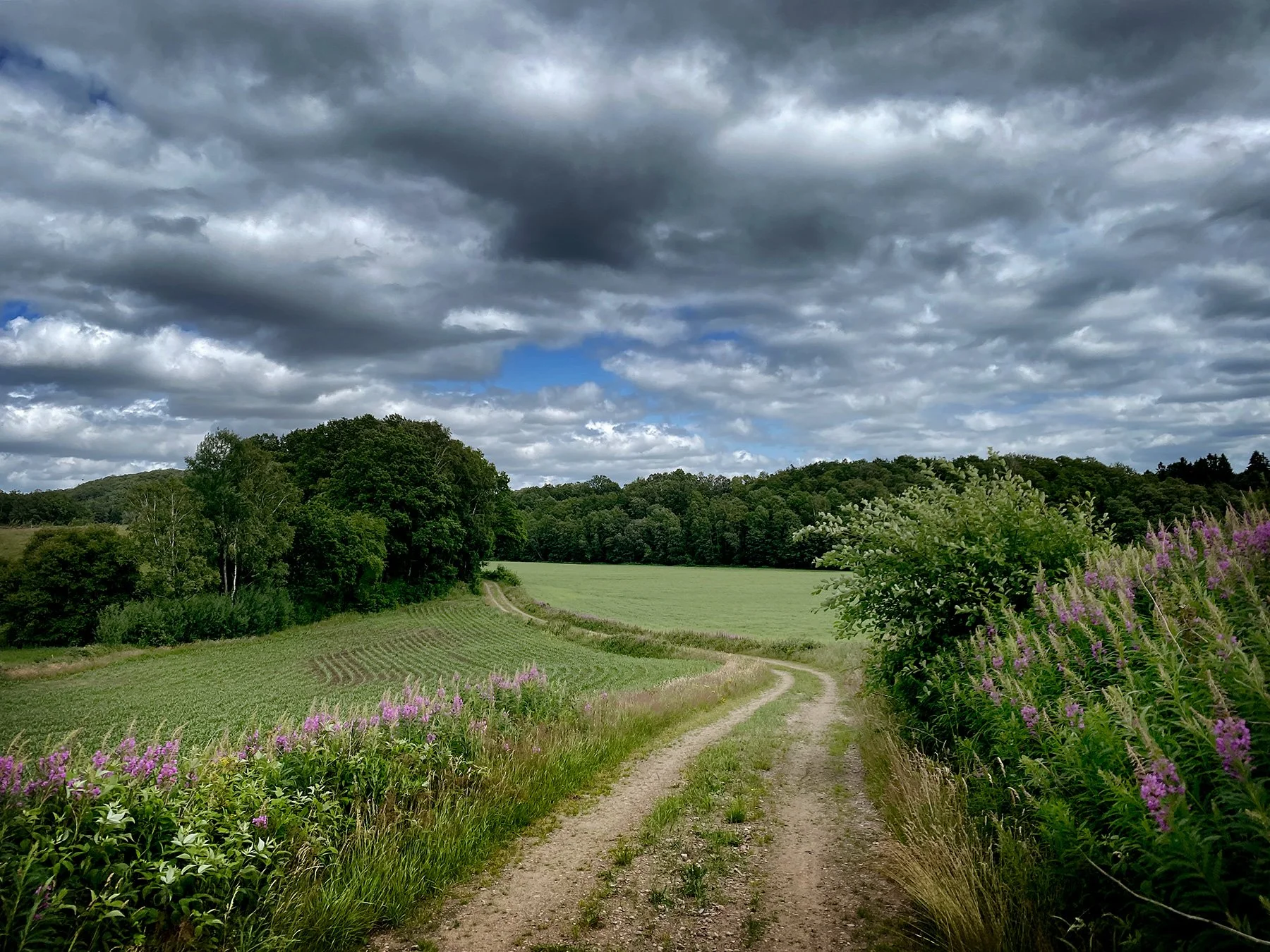 blogg-250703flakatillangarna7.jpg