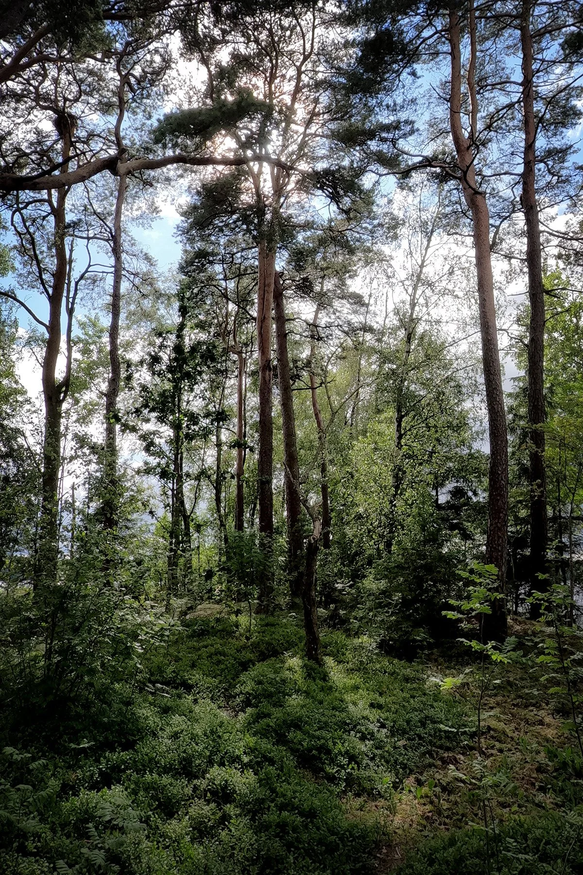 blogg-250708vallsnascamping16.jpg