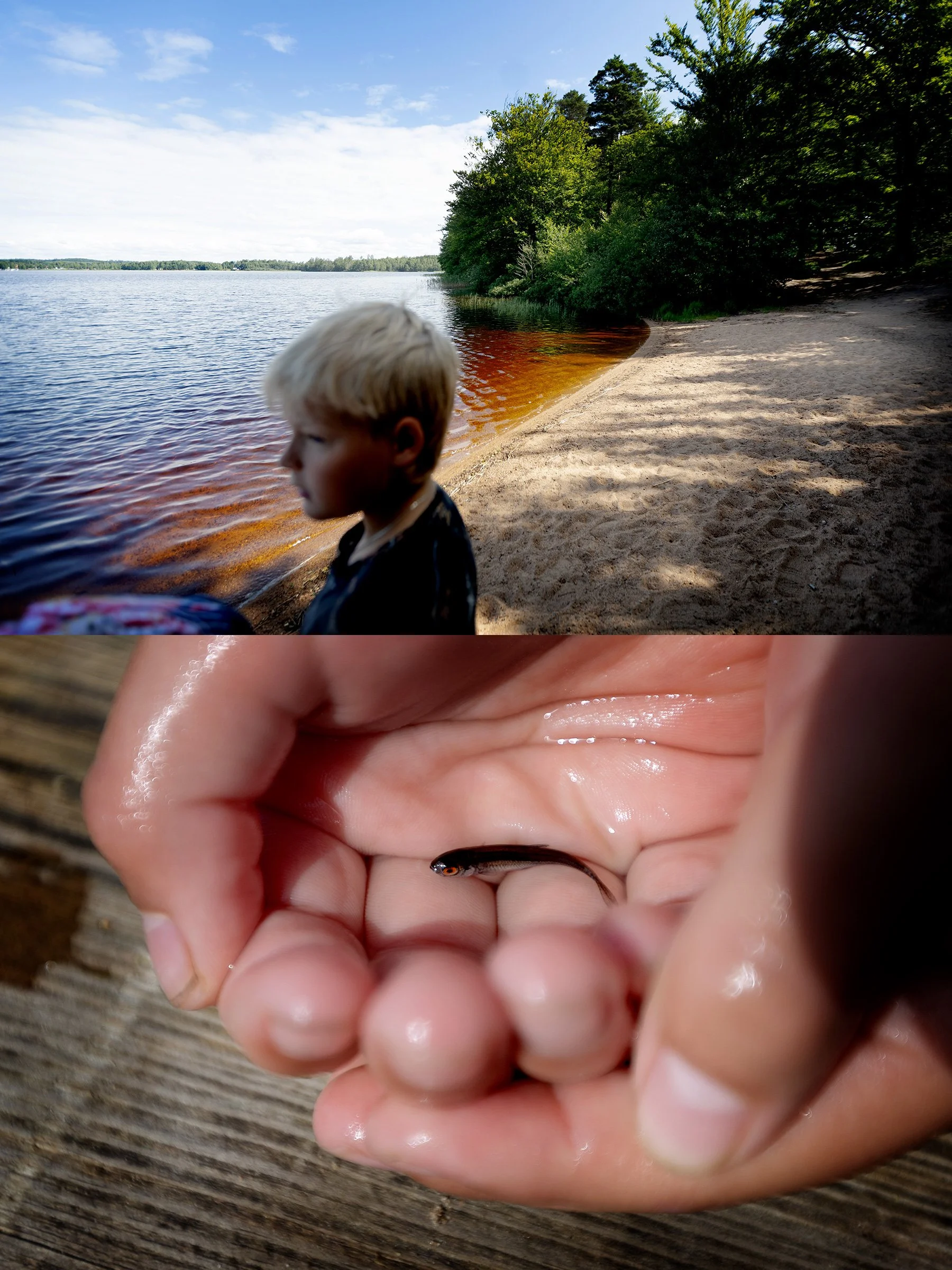 Morgondopp i Unnen