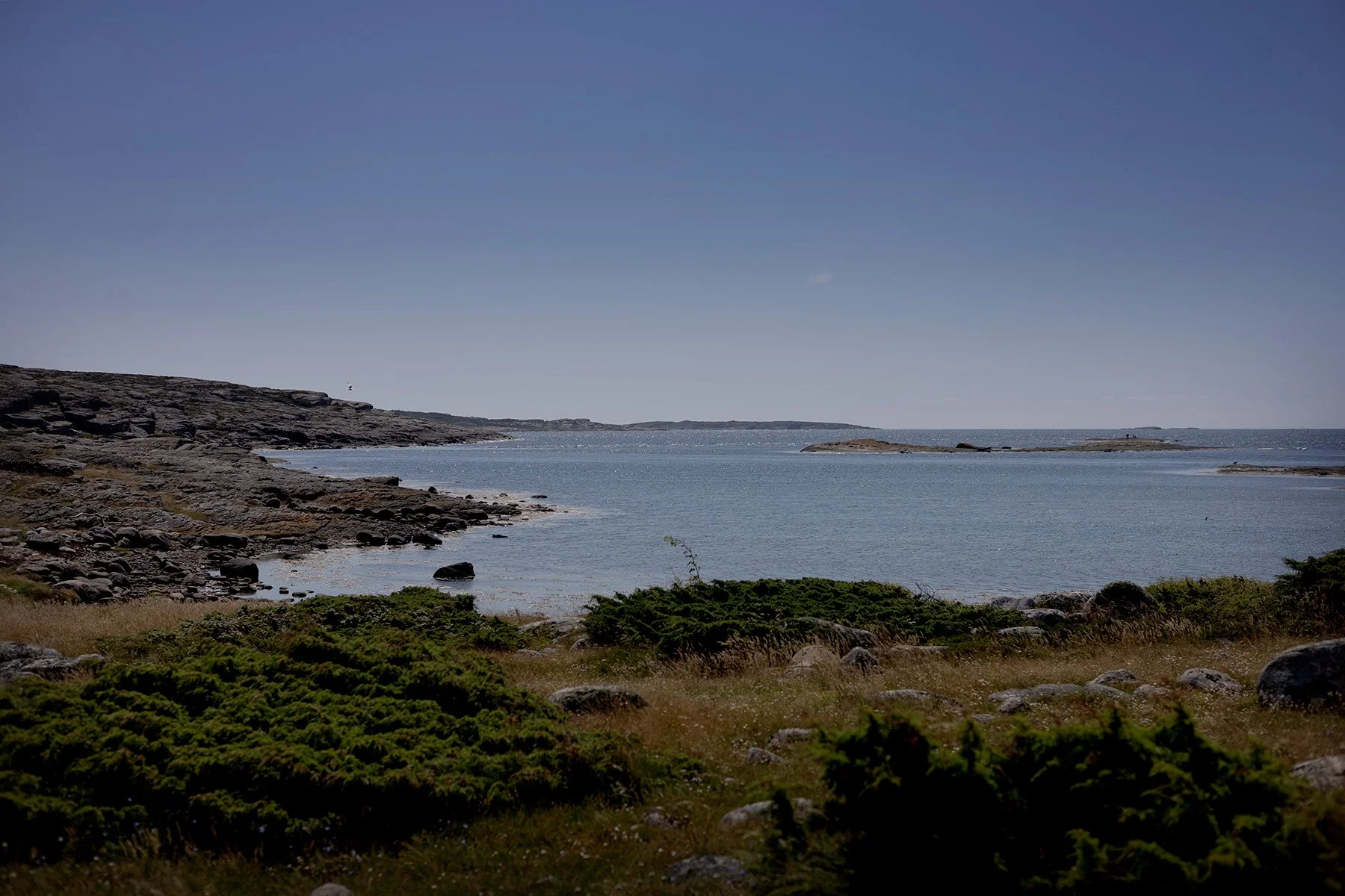 blogg-250710biskopshagenjosefine1.jpg