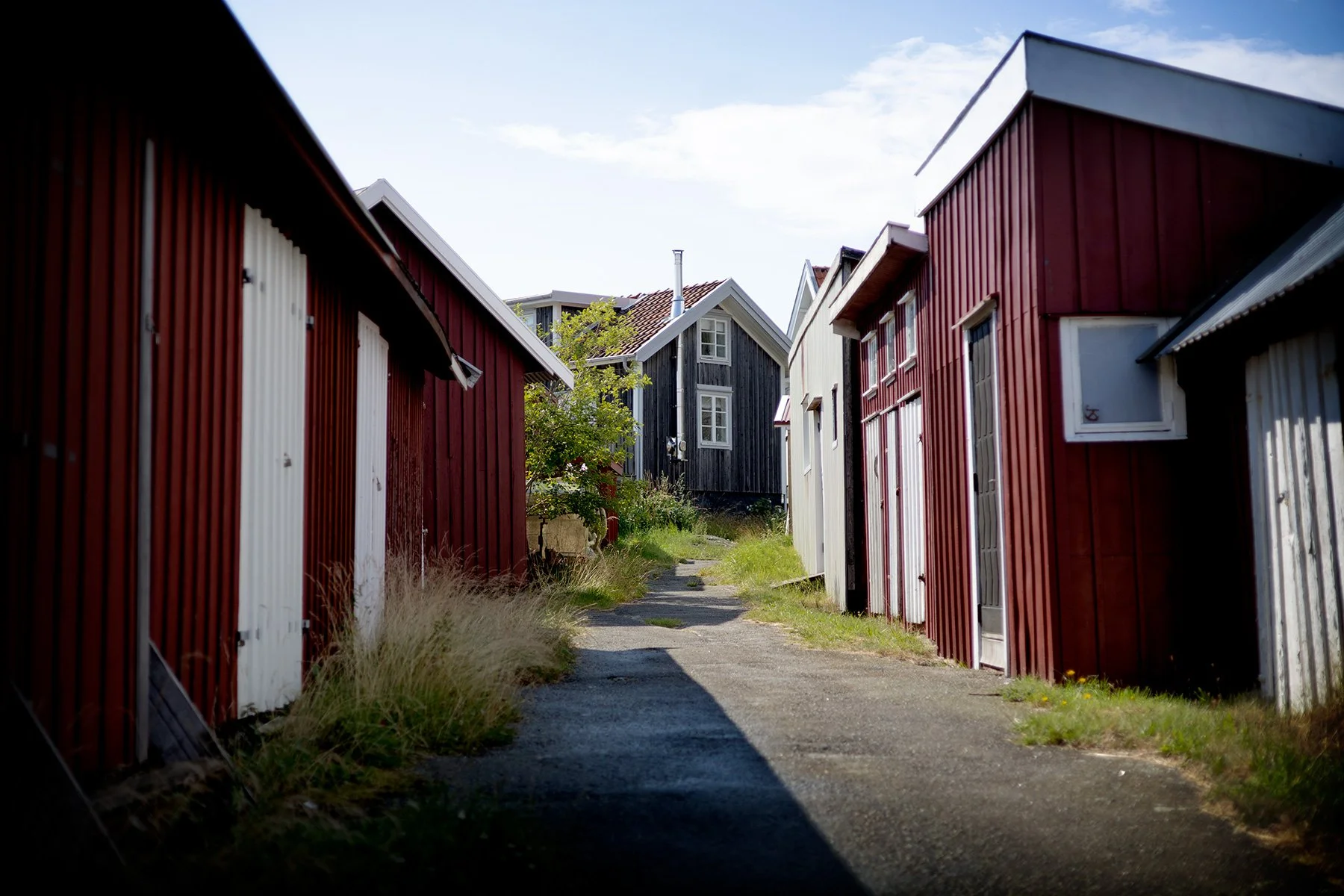 blogg-250715dyron10.jpg