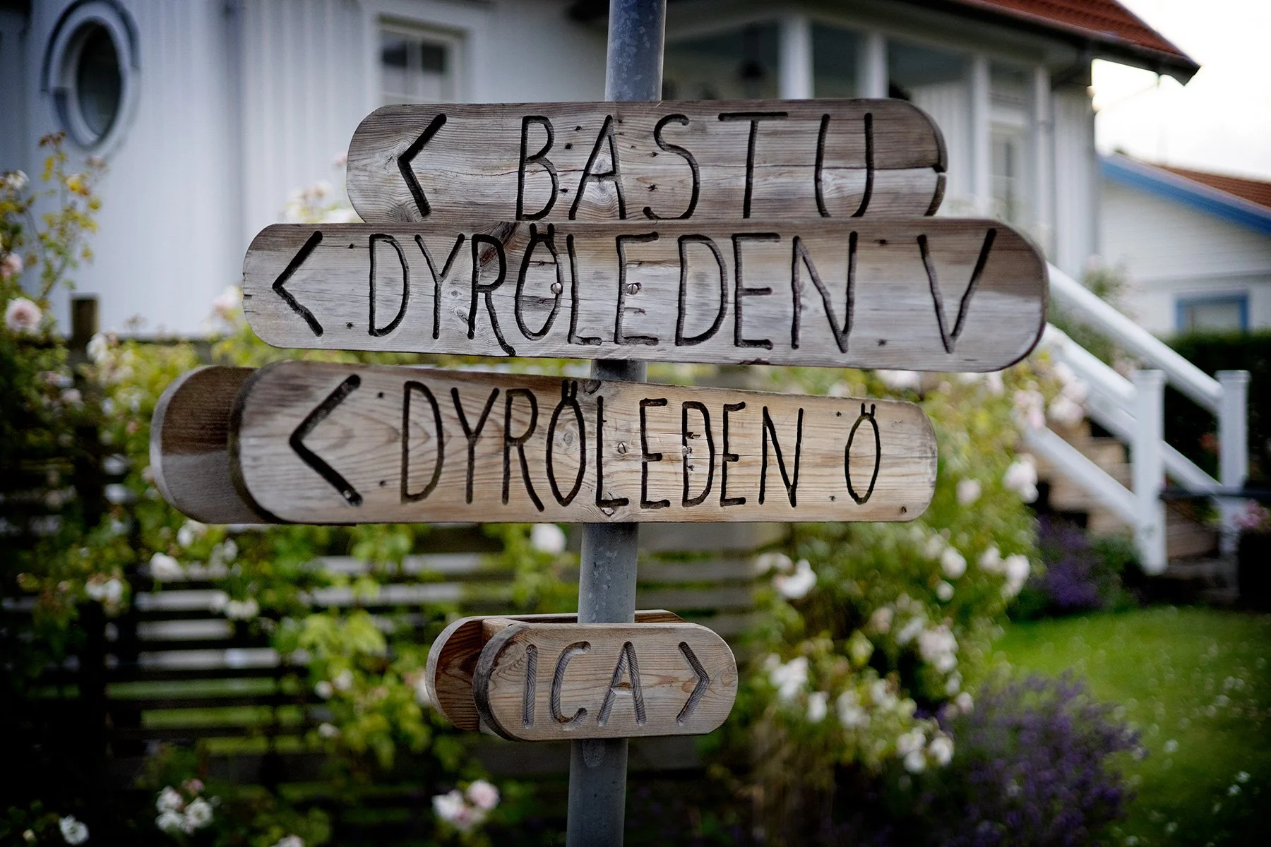blogg-250715dyron20.jpg