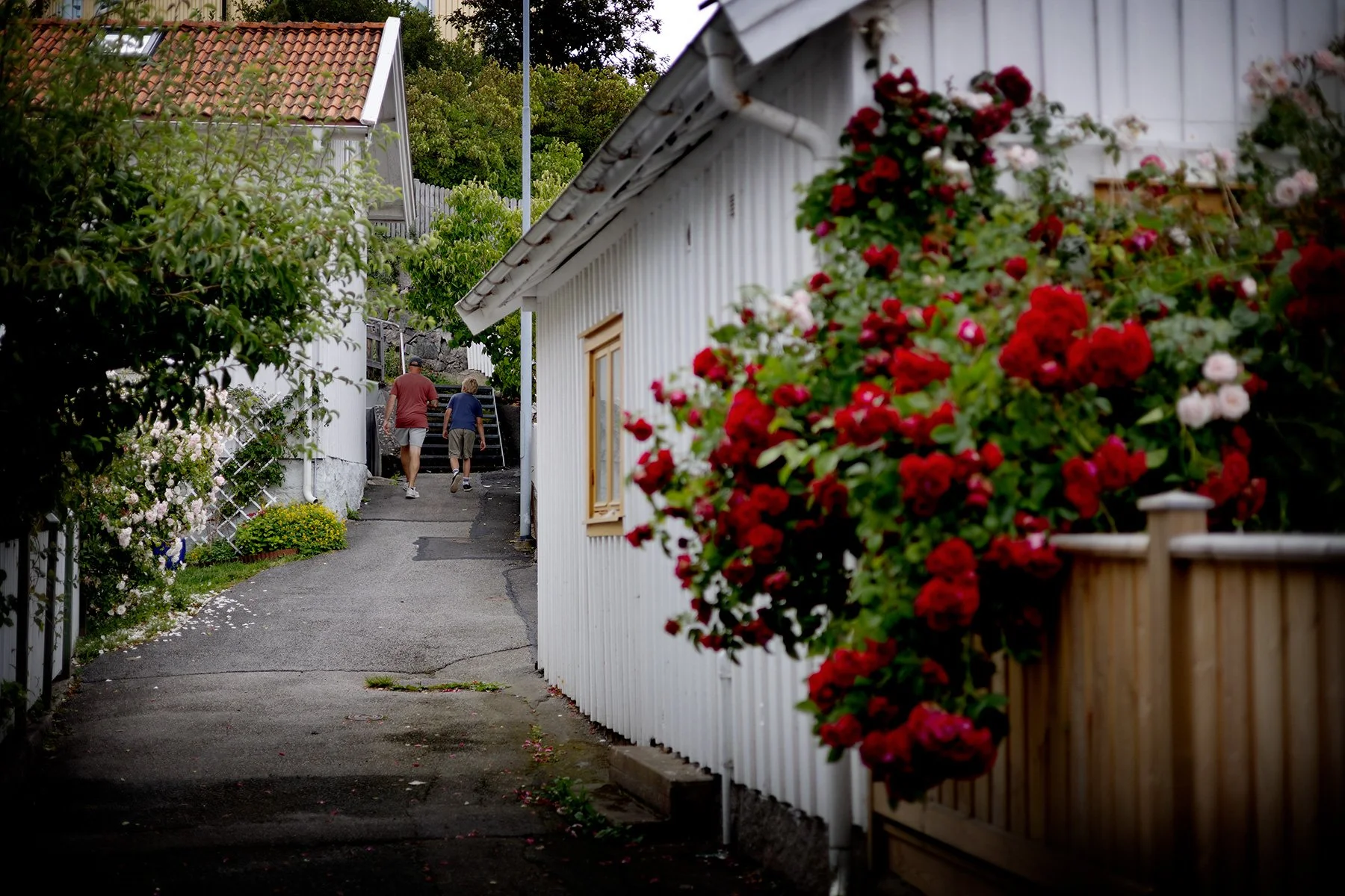 blogg-250716skarhamn13.jpg