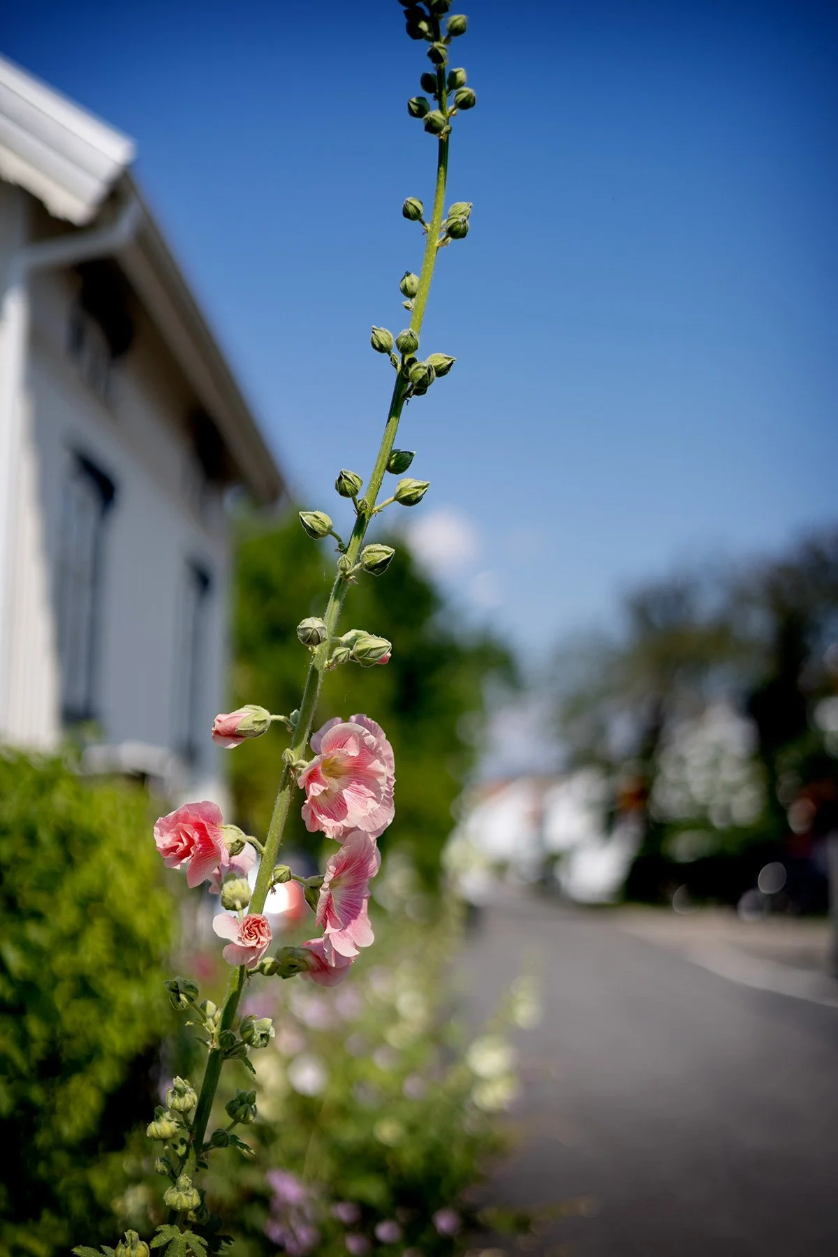 blogg-250719grundsund5.jpg