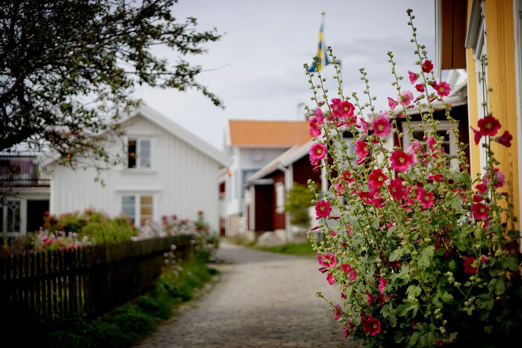 blogg-250721mollosund11.jpg