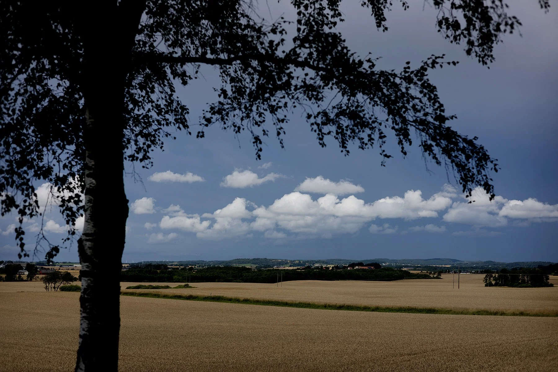 blogg-250802arstadsskogssalong1.jpg