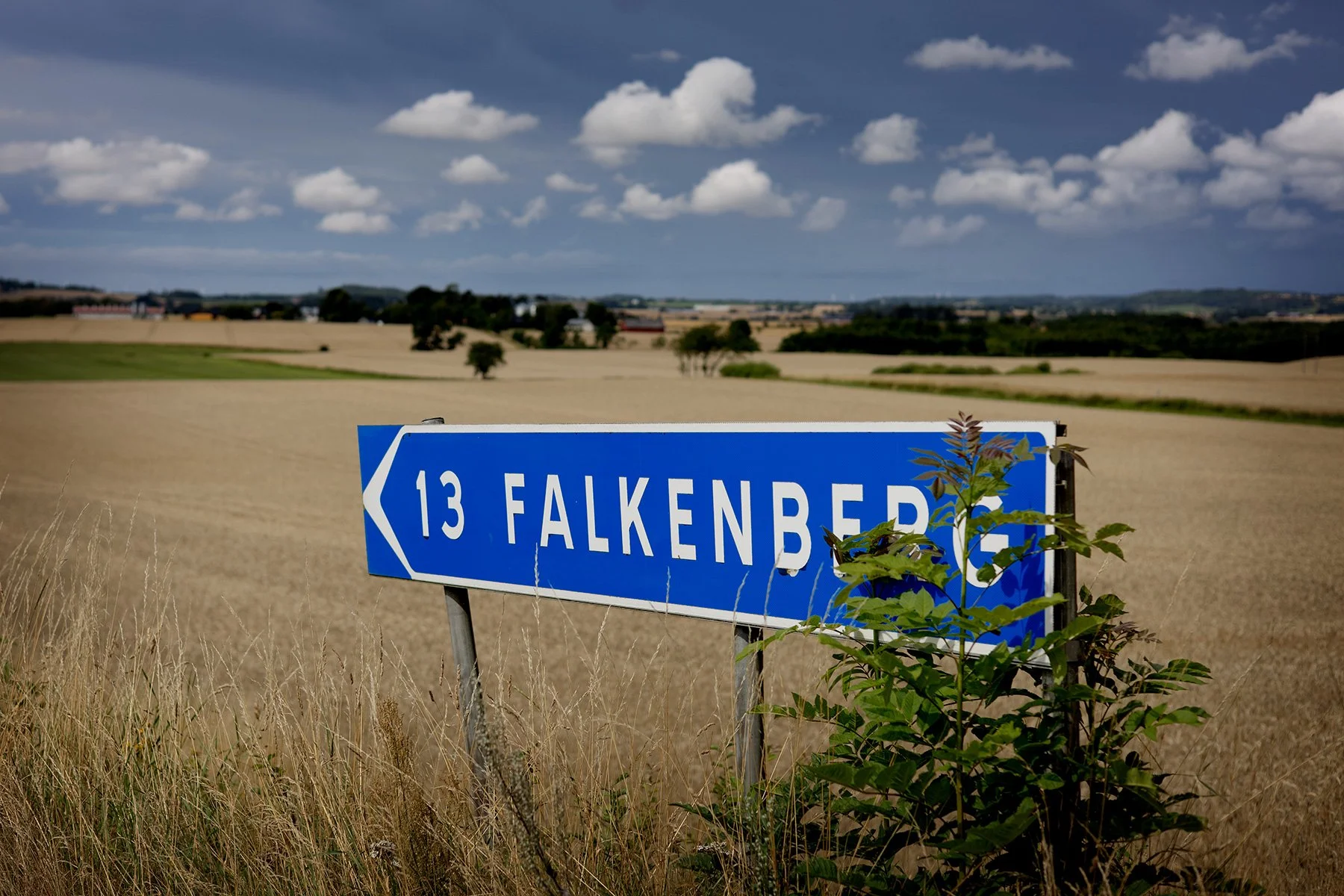 blogg-250802arstadsskogssalong13.jpg