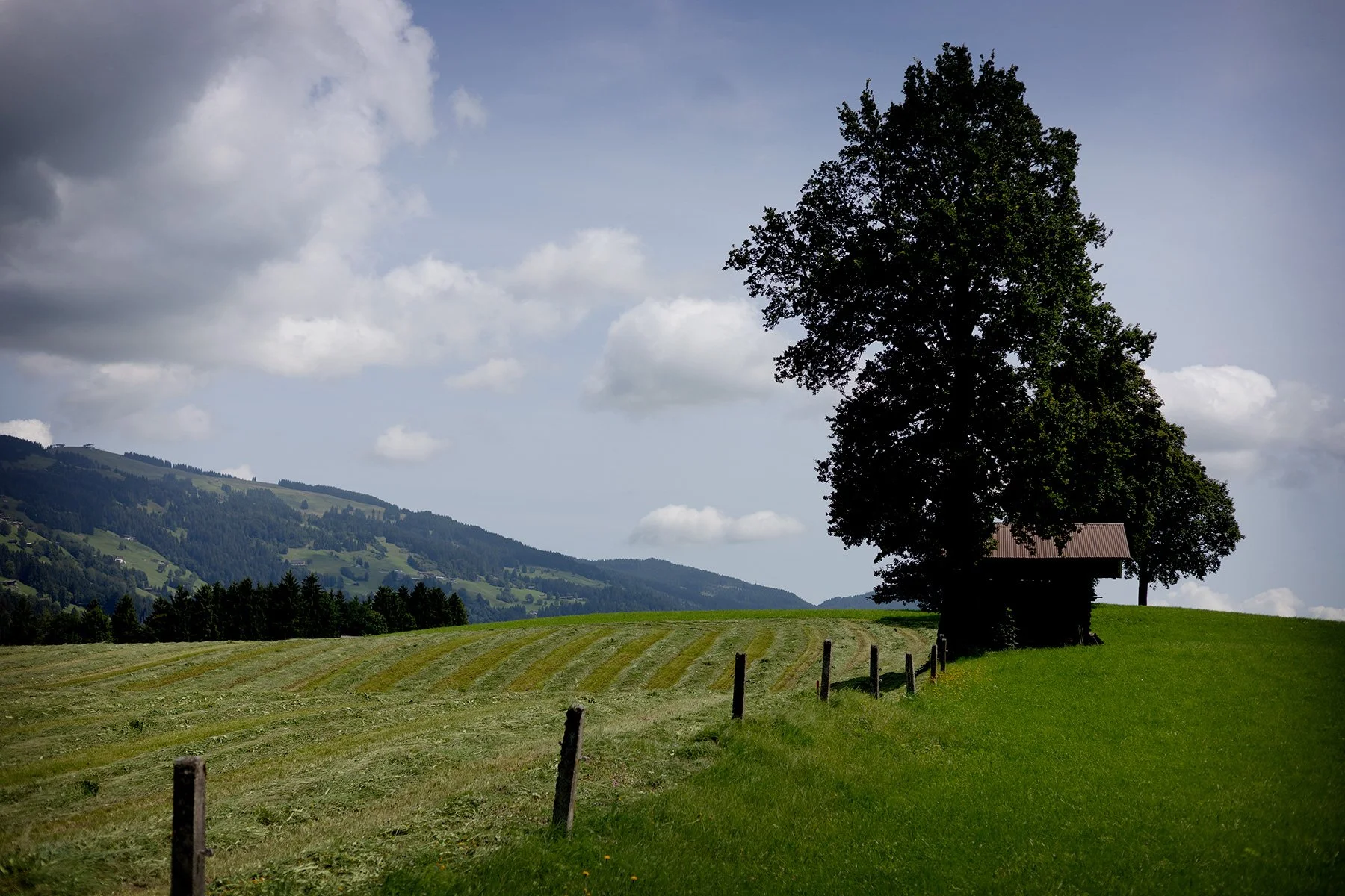 blogg-250806westendorfkelchsauerache4.jpg