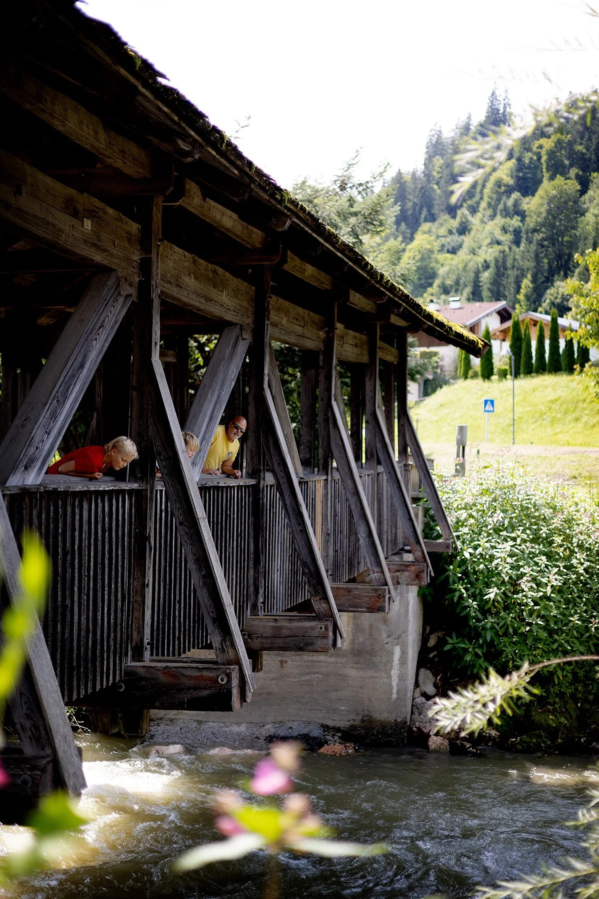 blogg-250806hopfgarten2.jpg