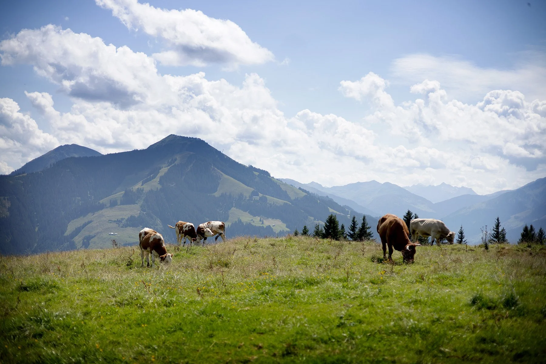 blogg-250807brixenbergbahn+filzalmsee3.jpg