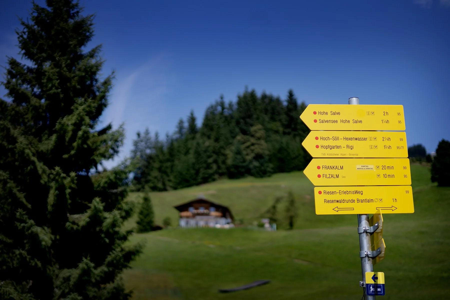 blogg-250807brixenbergbahn+filzalmsee16.jpg