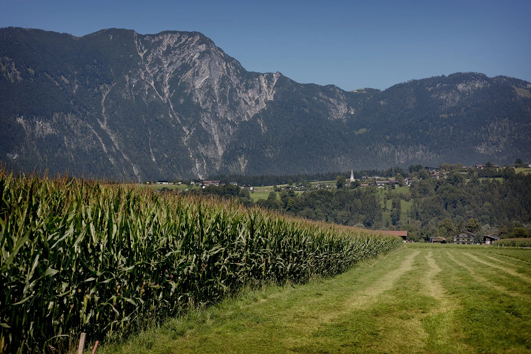 blogg-250808tiefenbachklamm1.jpg