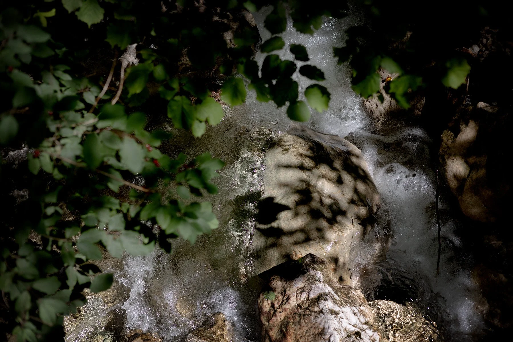 blogg-250808tiefenbachklamm4.jpg