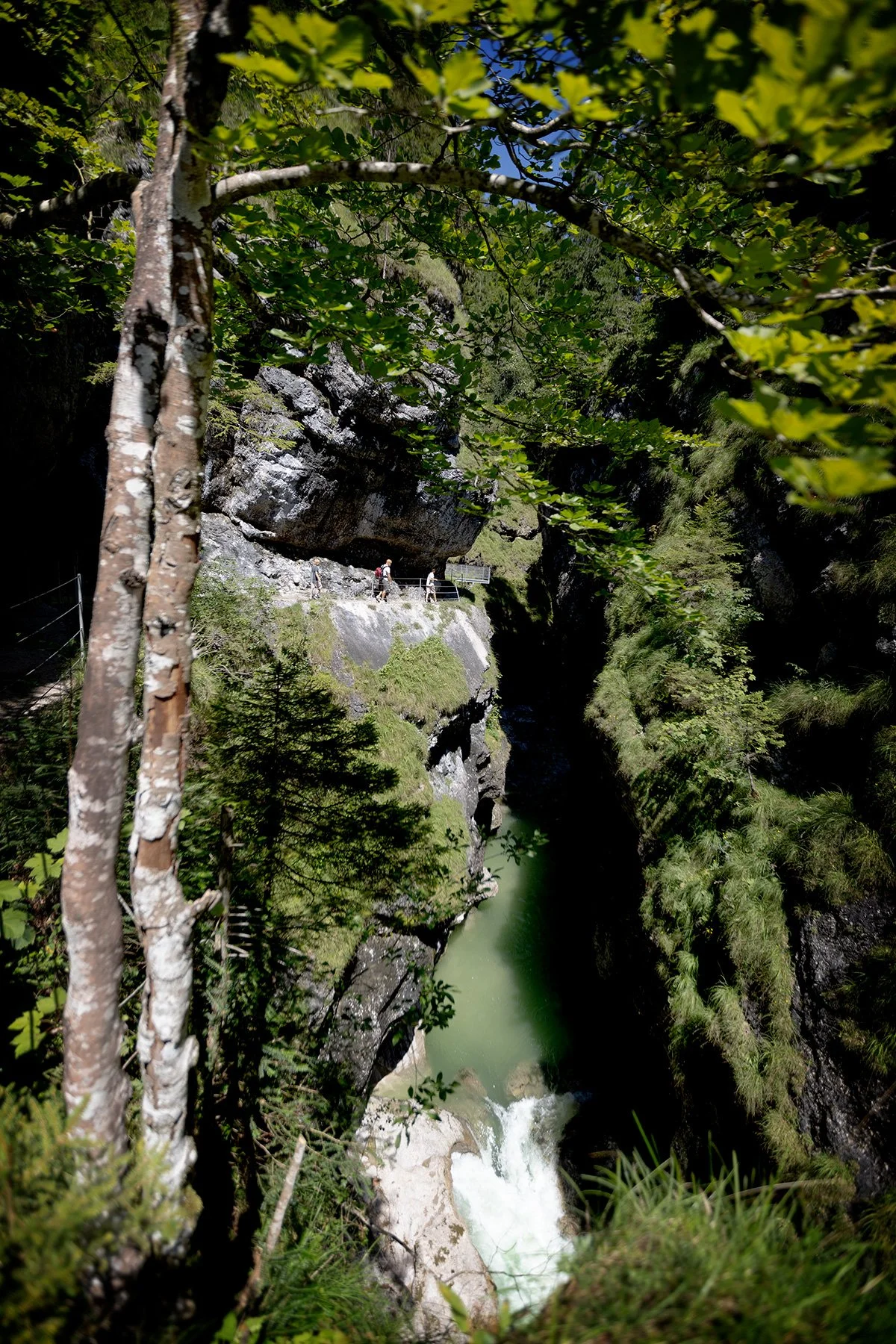 blogg-250808tiefenbachklamm16.jpg