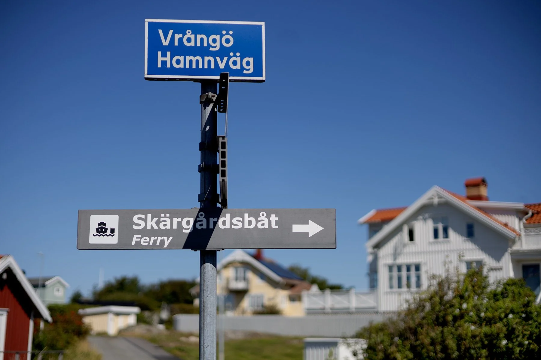 blogg-250813vrango9.jpg