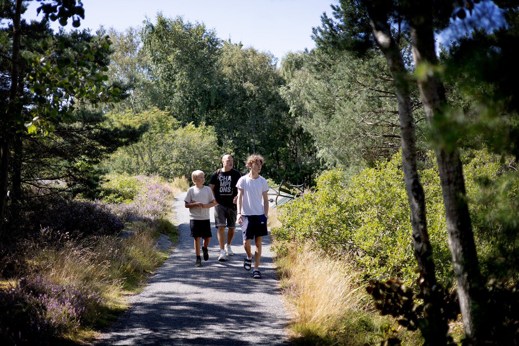 blogg-250813vrango11.jpg