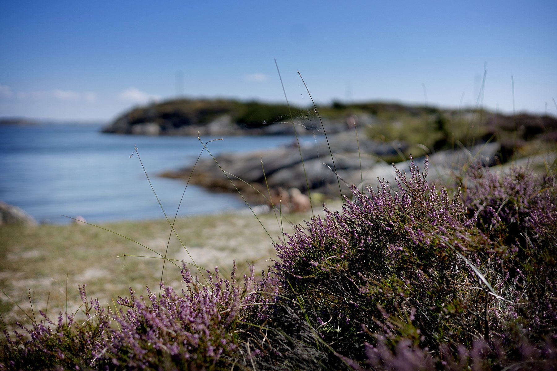 blogg-250813vrango19.jpg