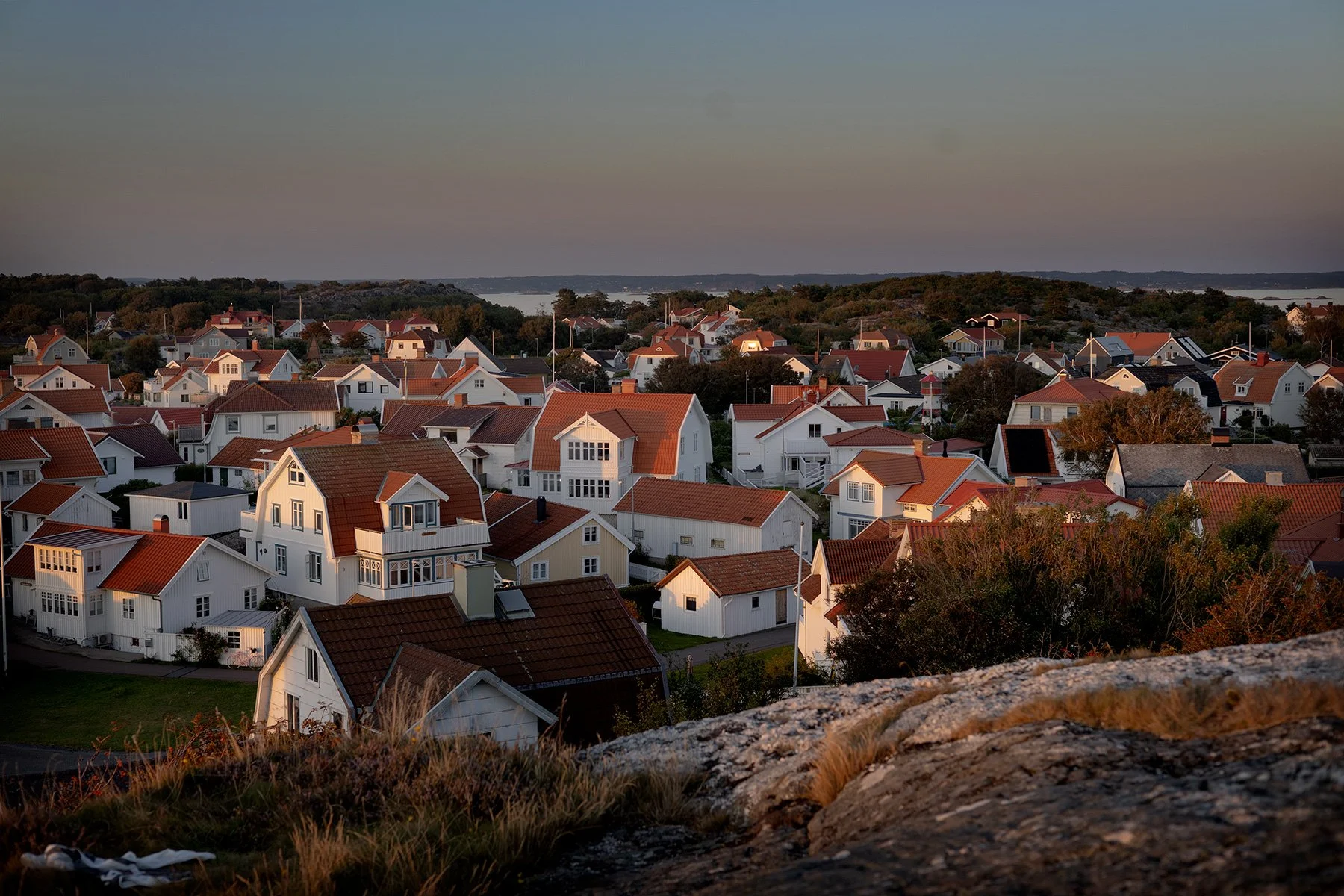 blogg-250813vrango49.jpg