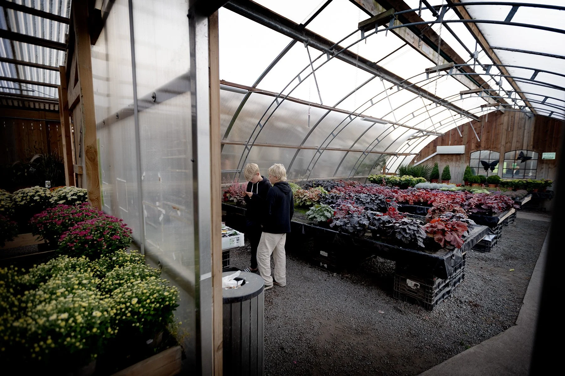 blogg-250827blomsterstugan2.jpg