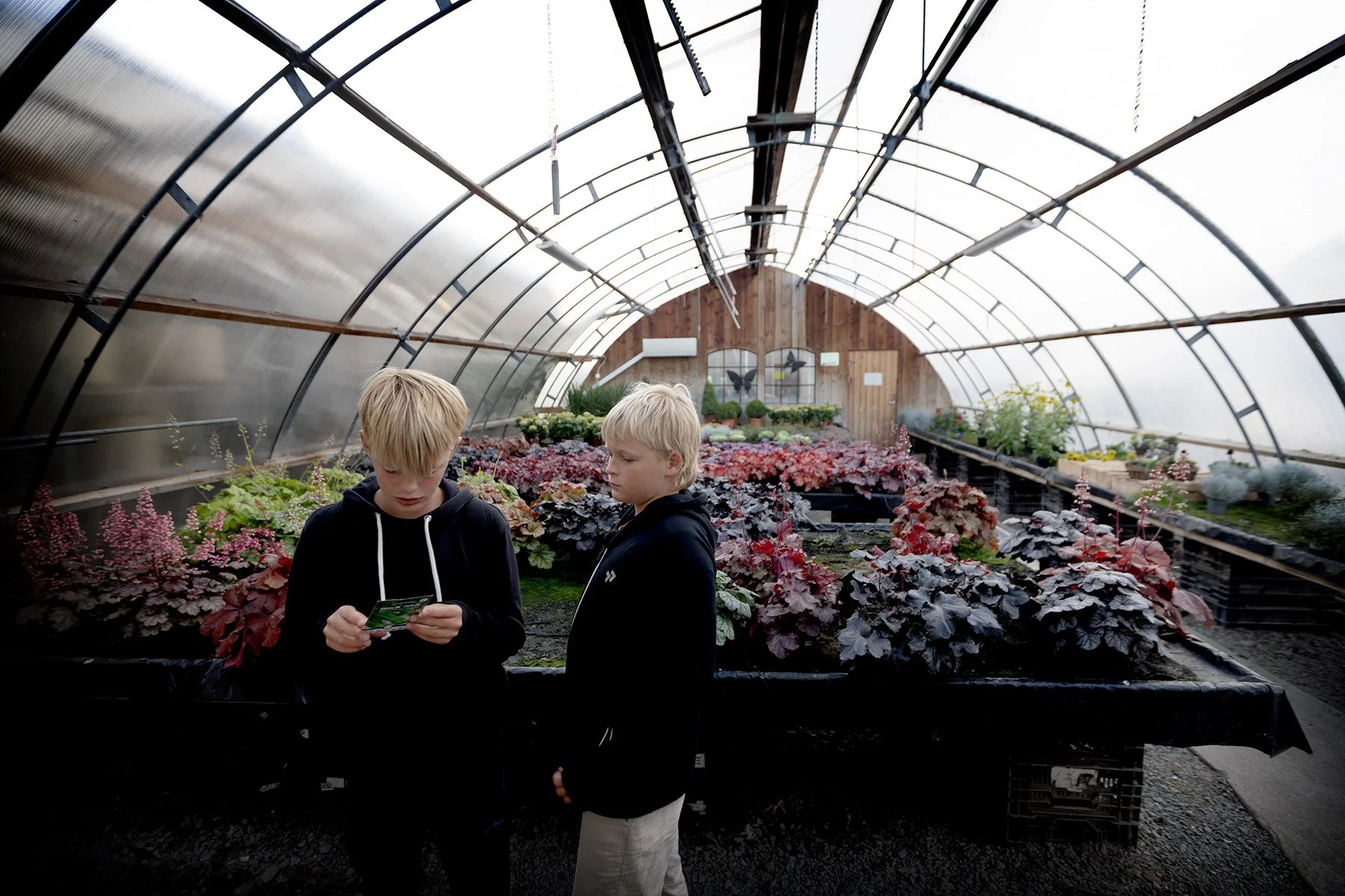 Blomsterstugan