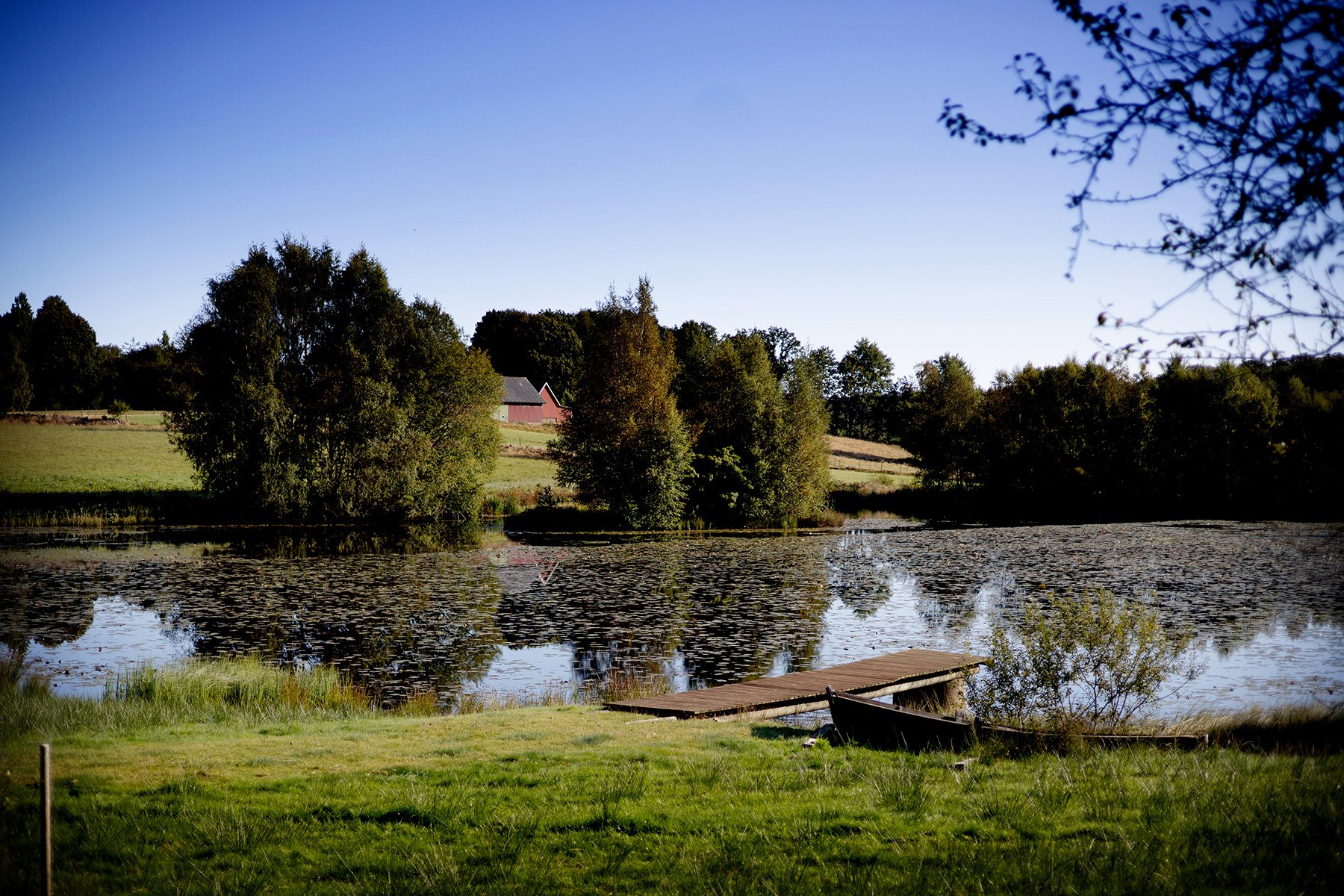 blogg-250907stafettdm9.jpg