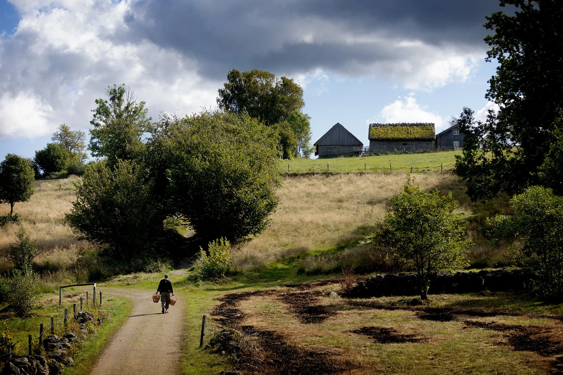 blogg-250907askhult-backarsma3.jpg