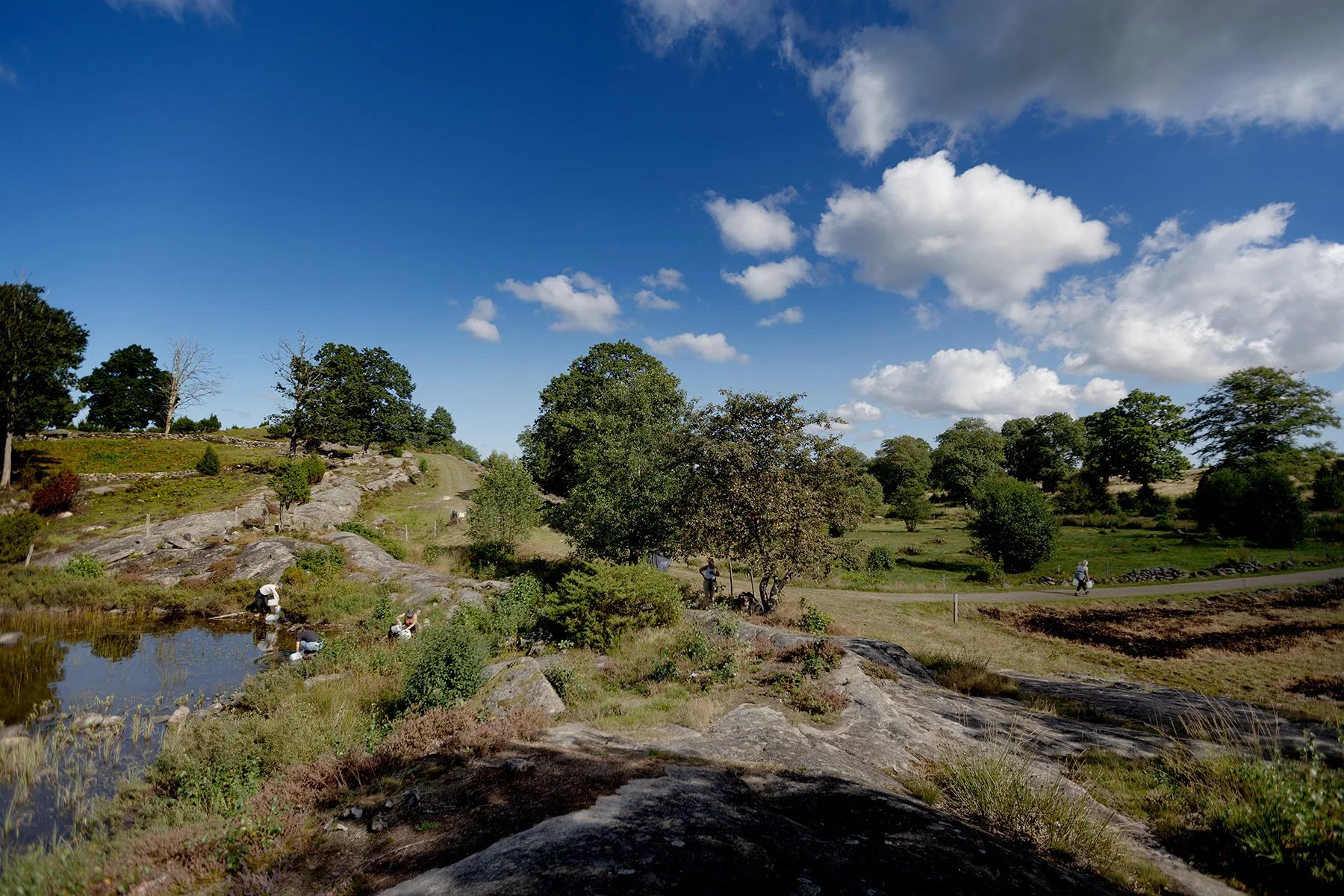 blogg-250907askhult-backarsma6.jpg