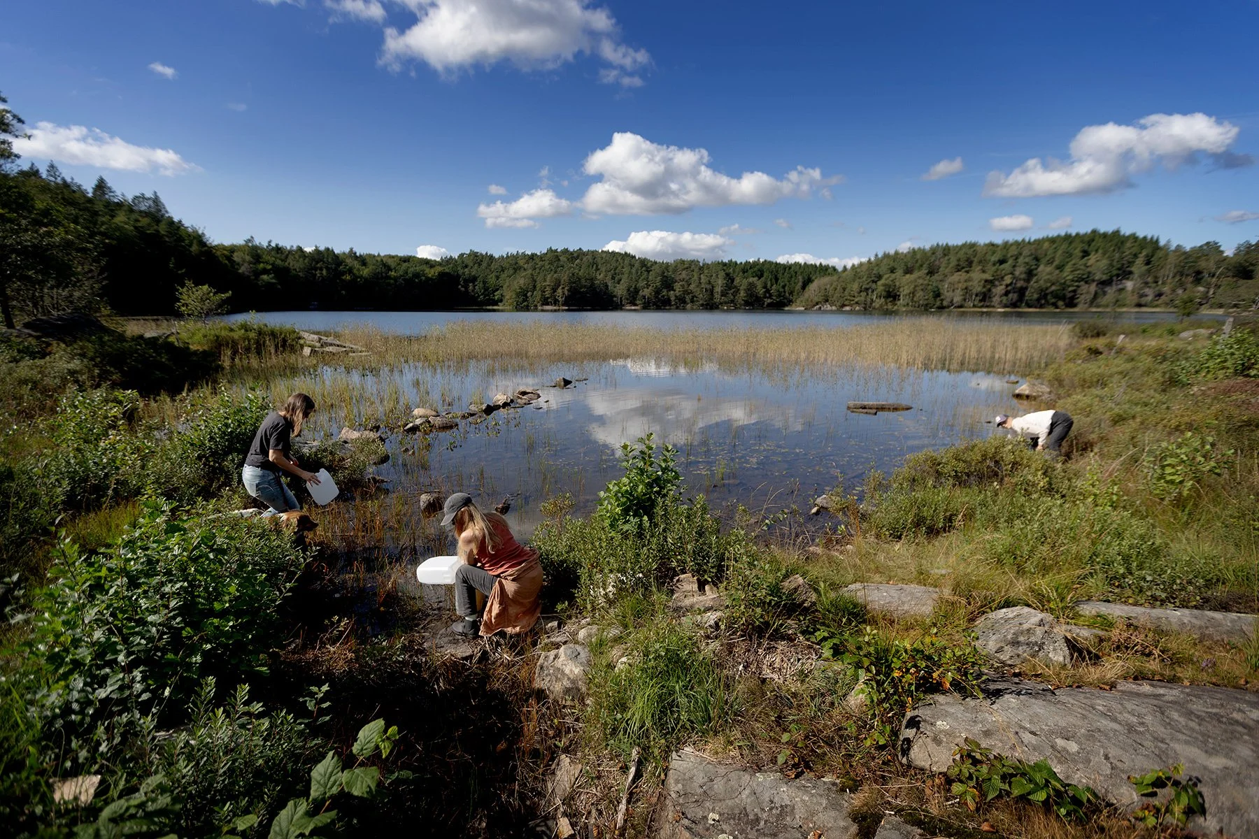 blogg-250907askhult-backarsma4.jpg