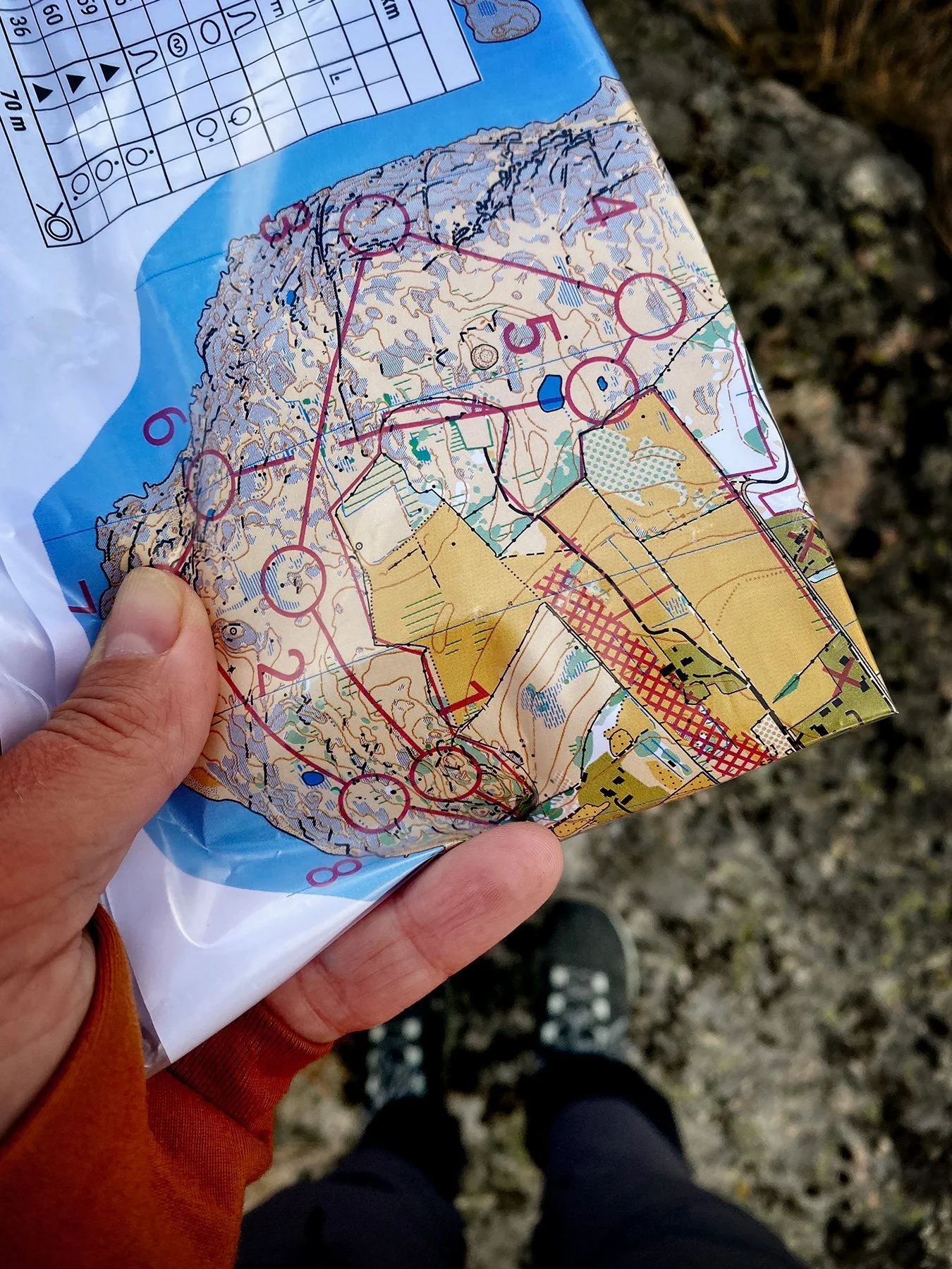 blogg-250916oltraningvideberg2.jpg