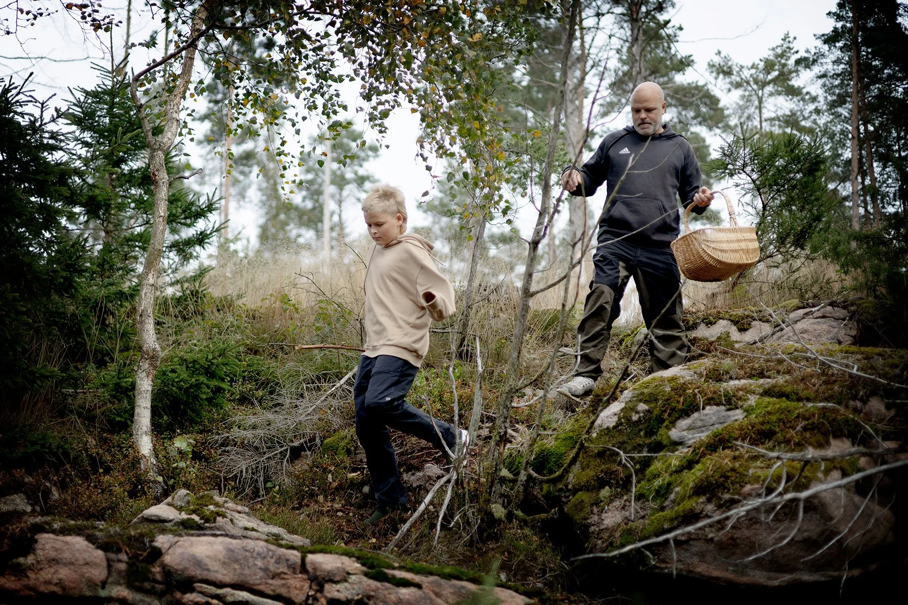 blogg-250921svampskog1.jpg