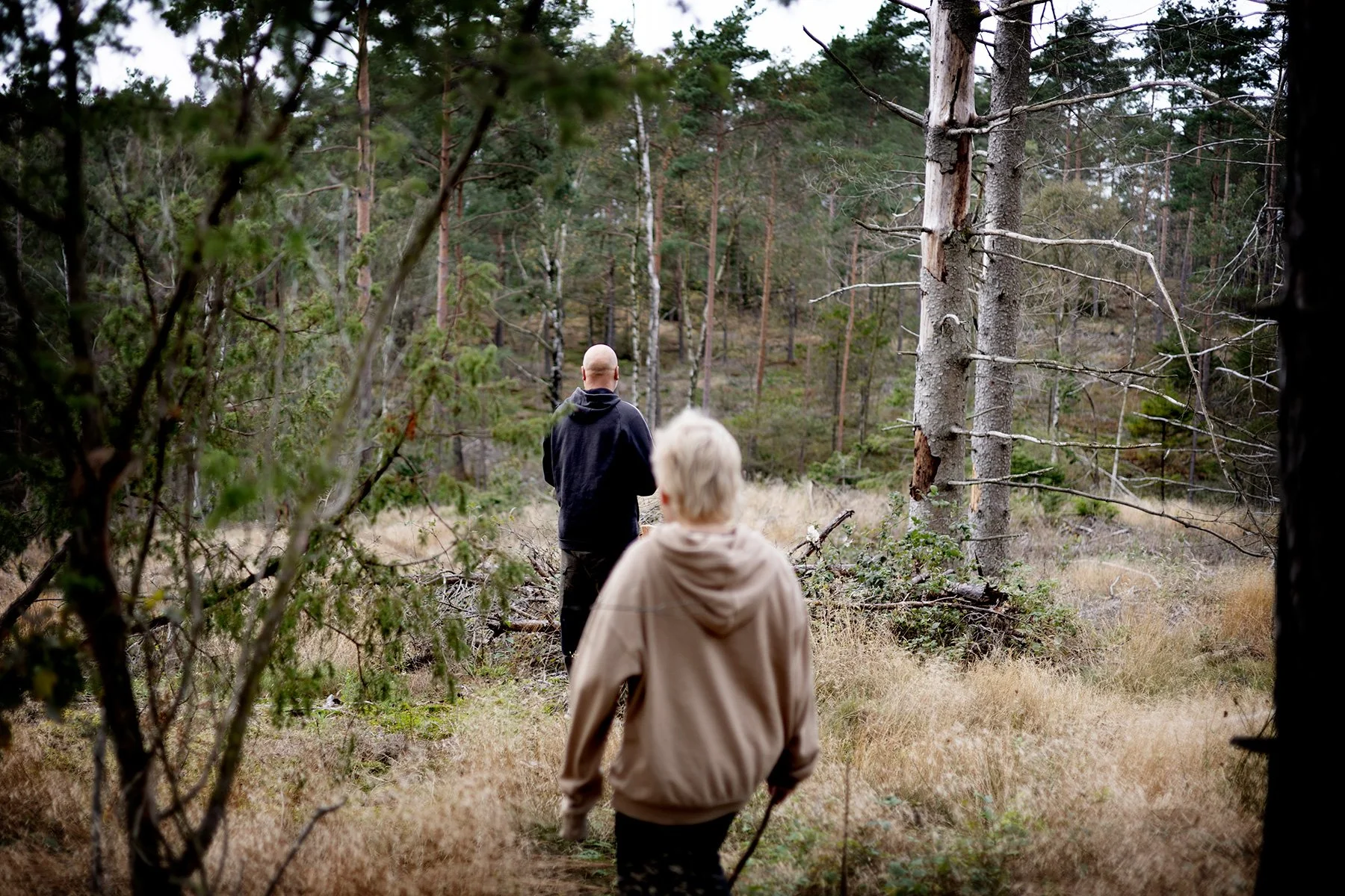 blogg-250921svampskog7.jpg