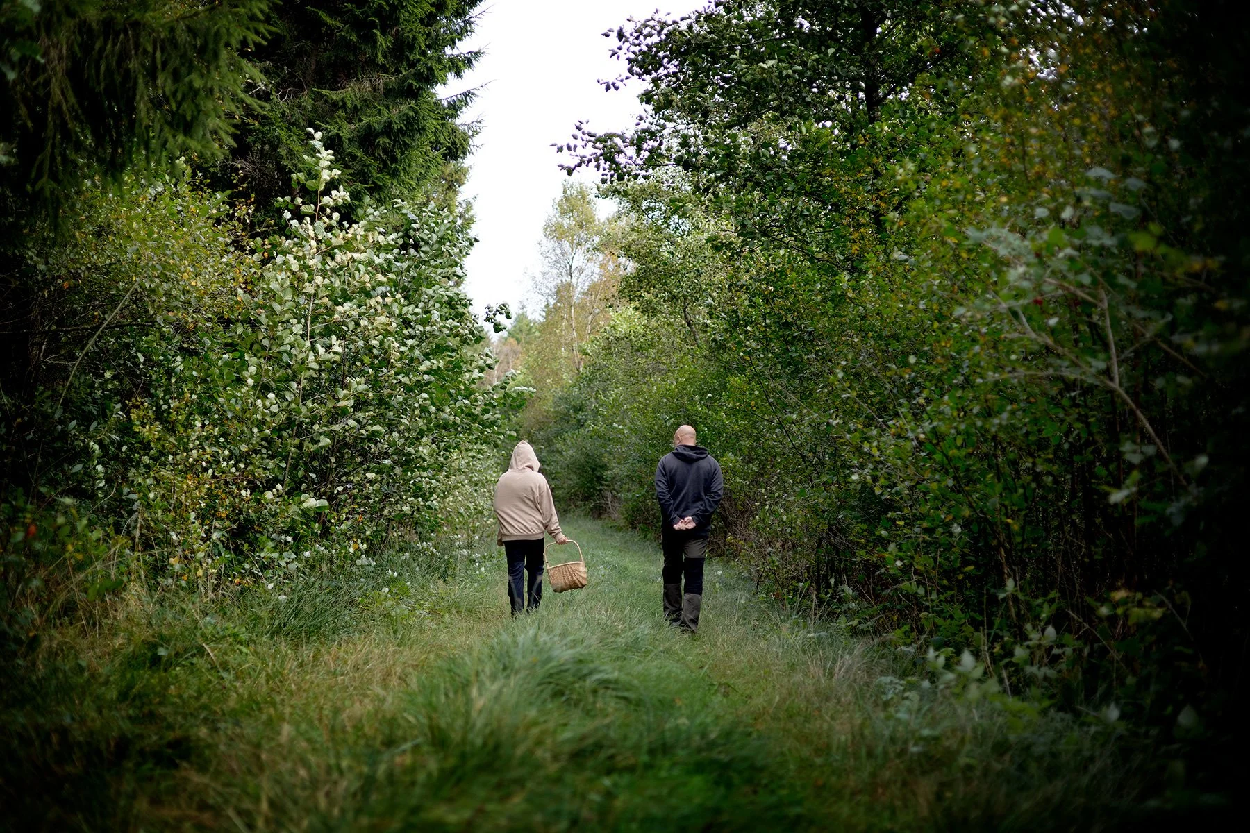 blogg-250921svampskog10.jpg