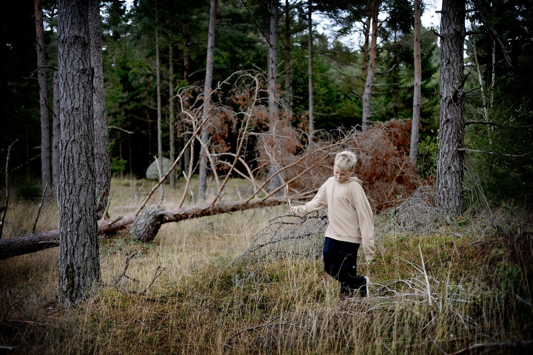 blogg-250921svampskog12.jpg