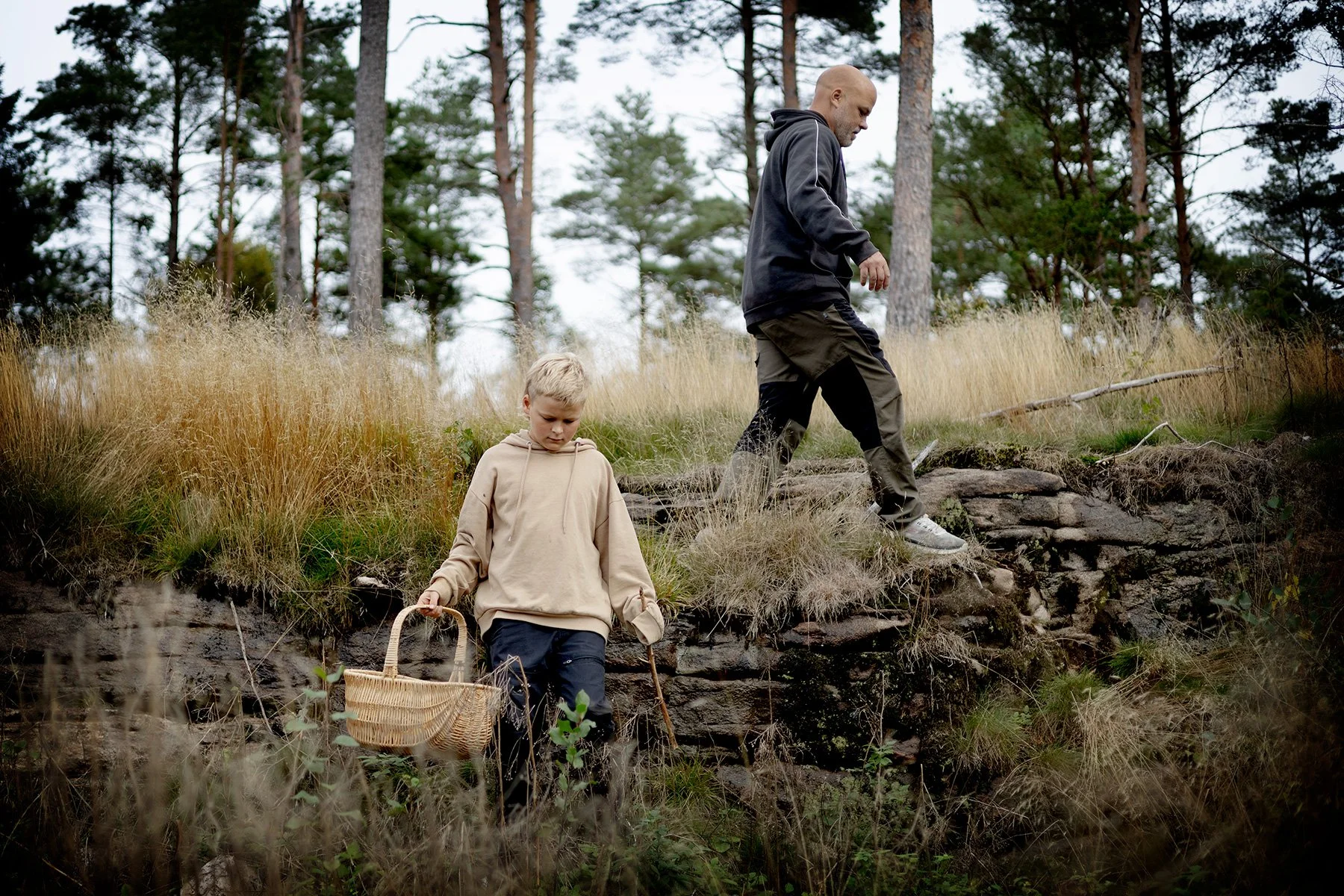 blogg-250921svampskog14.jpg