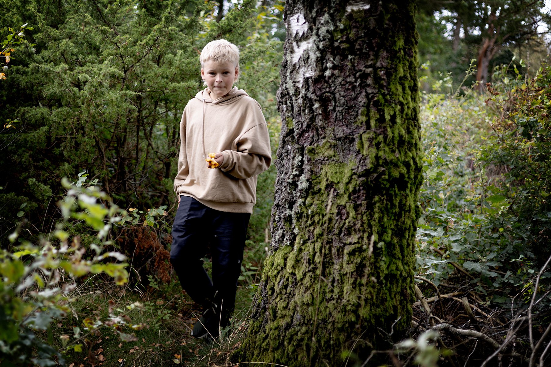 blogg-250921svampskog16.jpg