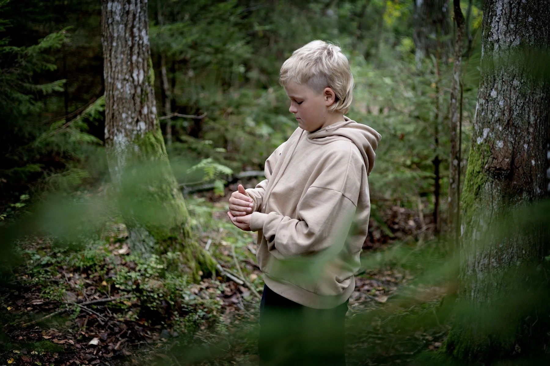 blogg-250921svampskog18.jpg