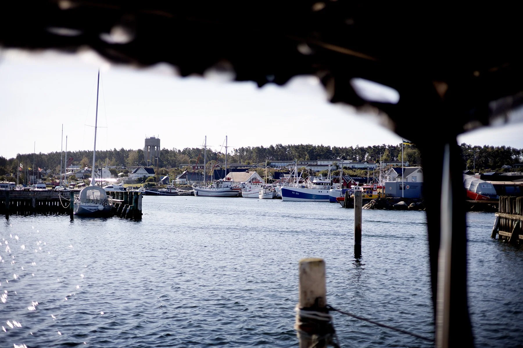 blogg-250927vendelsohavet3.jpg