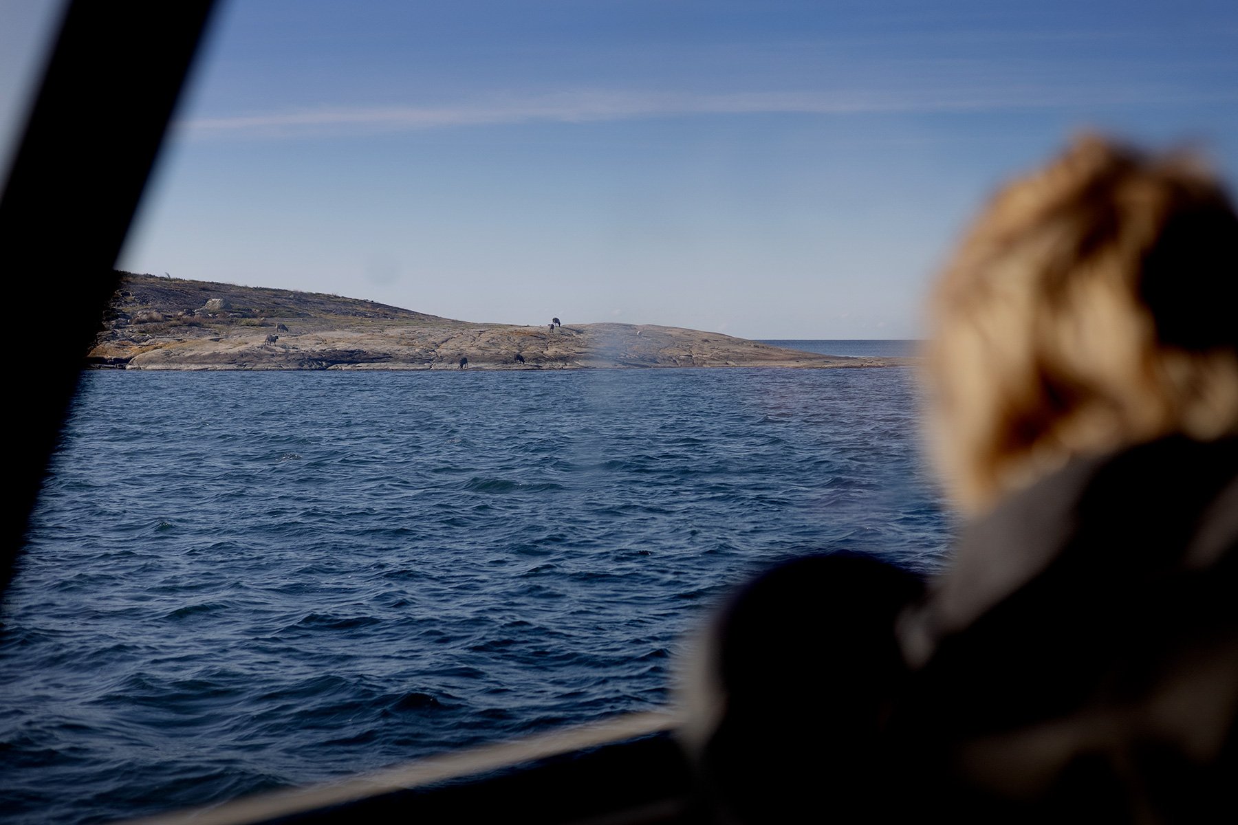 blogg-250927vendelsohavet12.jpg