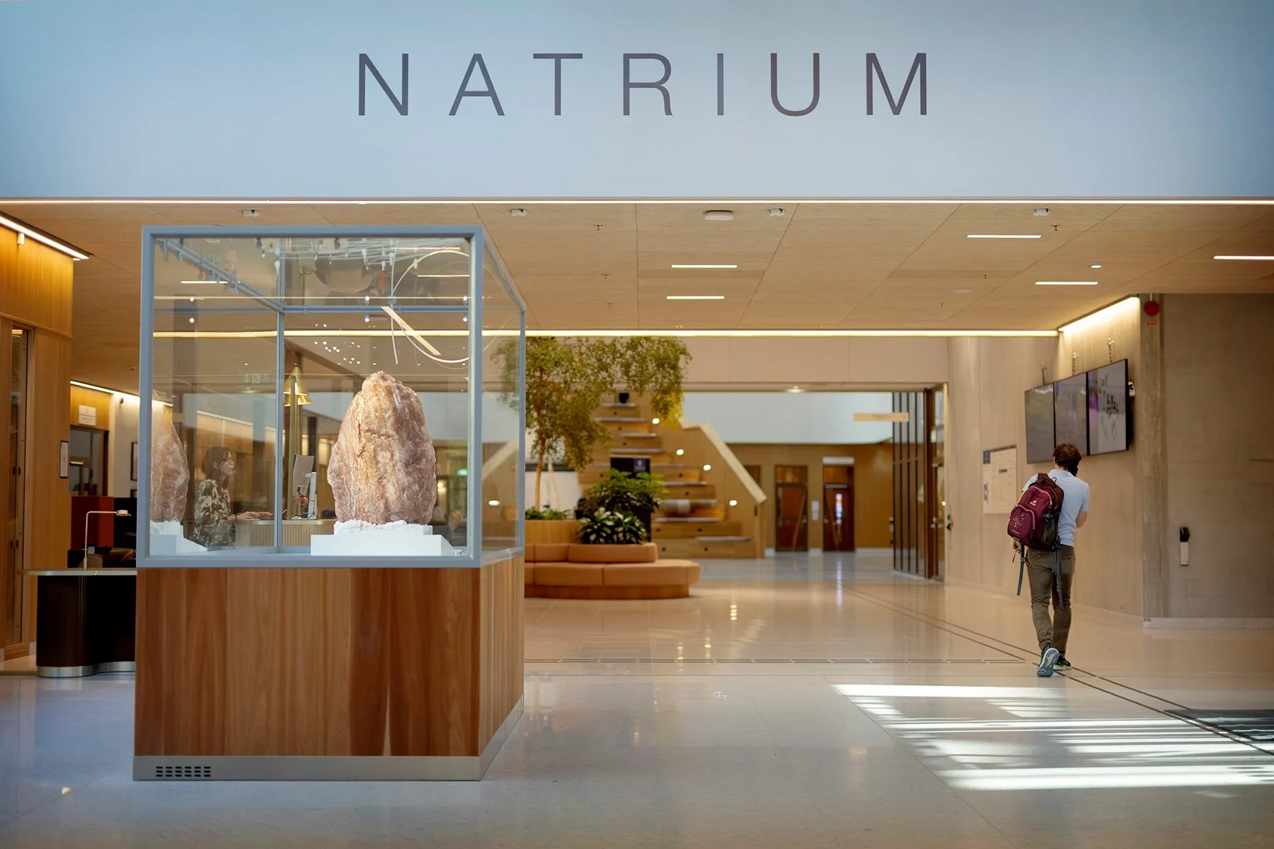 blogg-251008natfak-natrium3.jpg