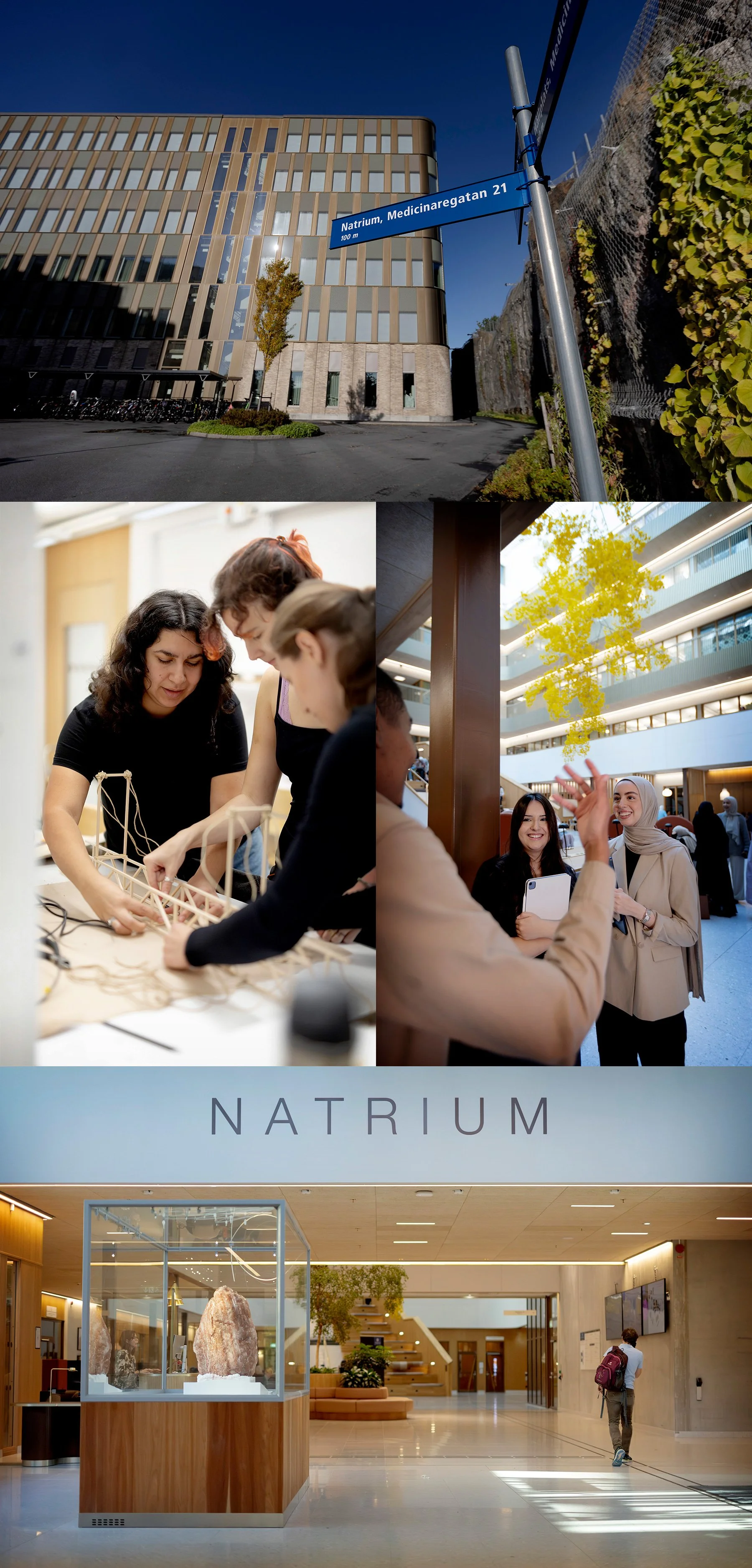 Natrium
